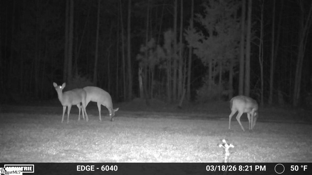 0 Highway 28 Property Photo 20