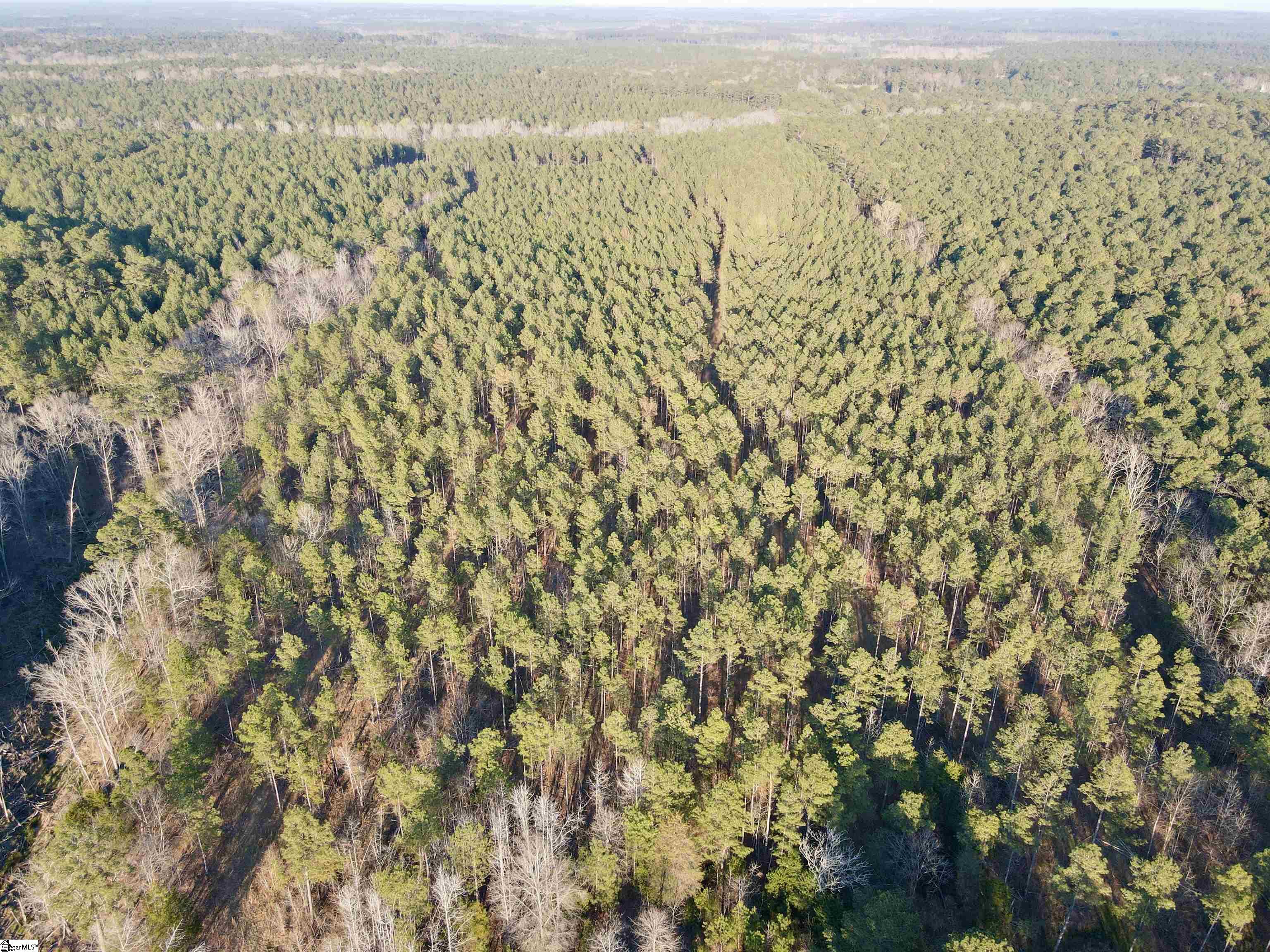 0 Highway 28 Property Photo 22