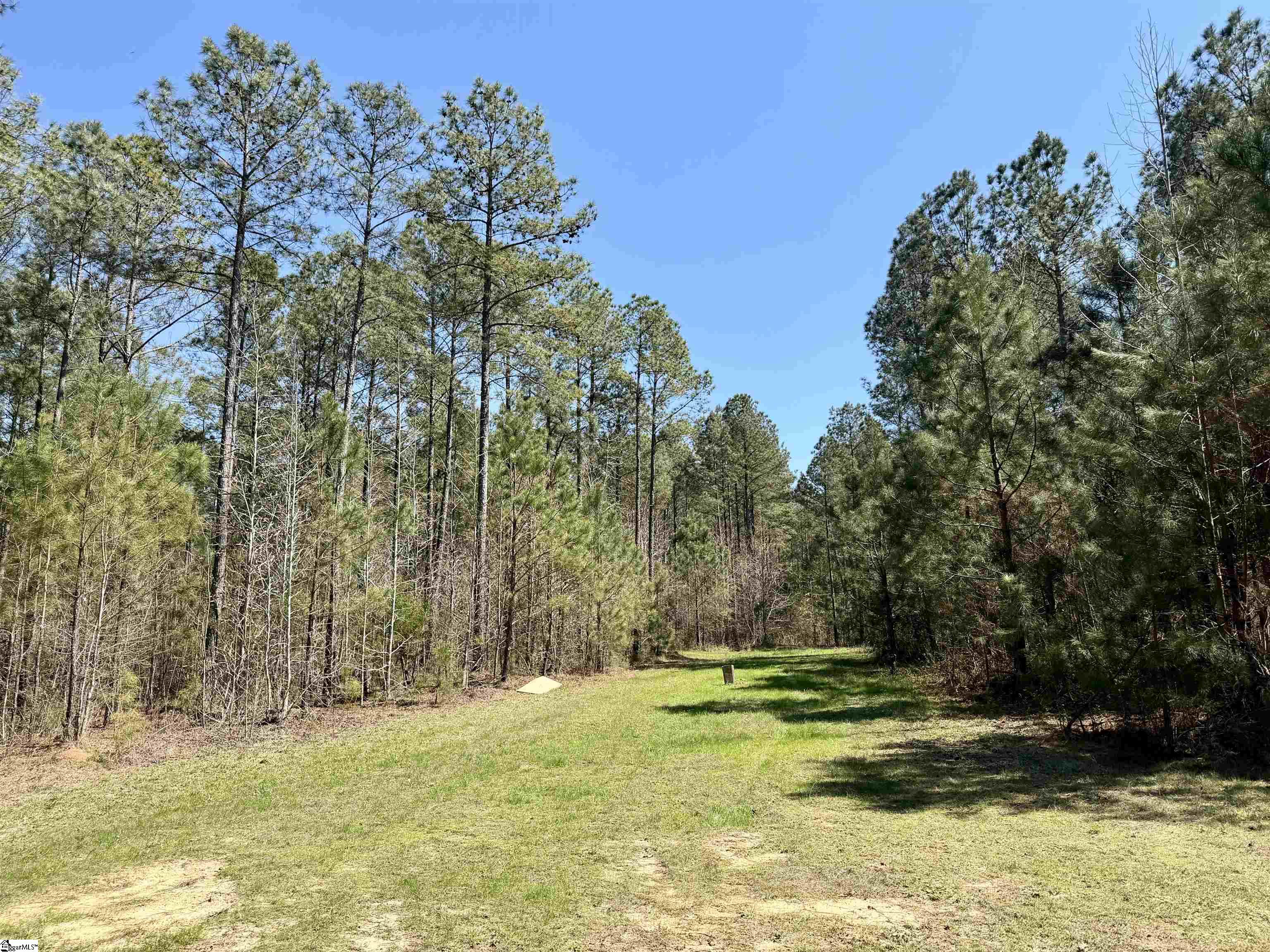 0 Highway 28 Property Photo 23