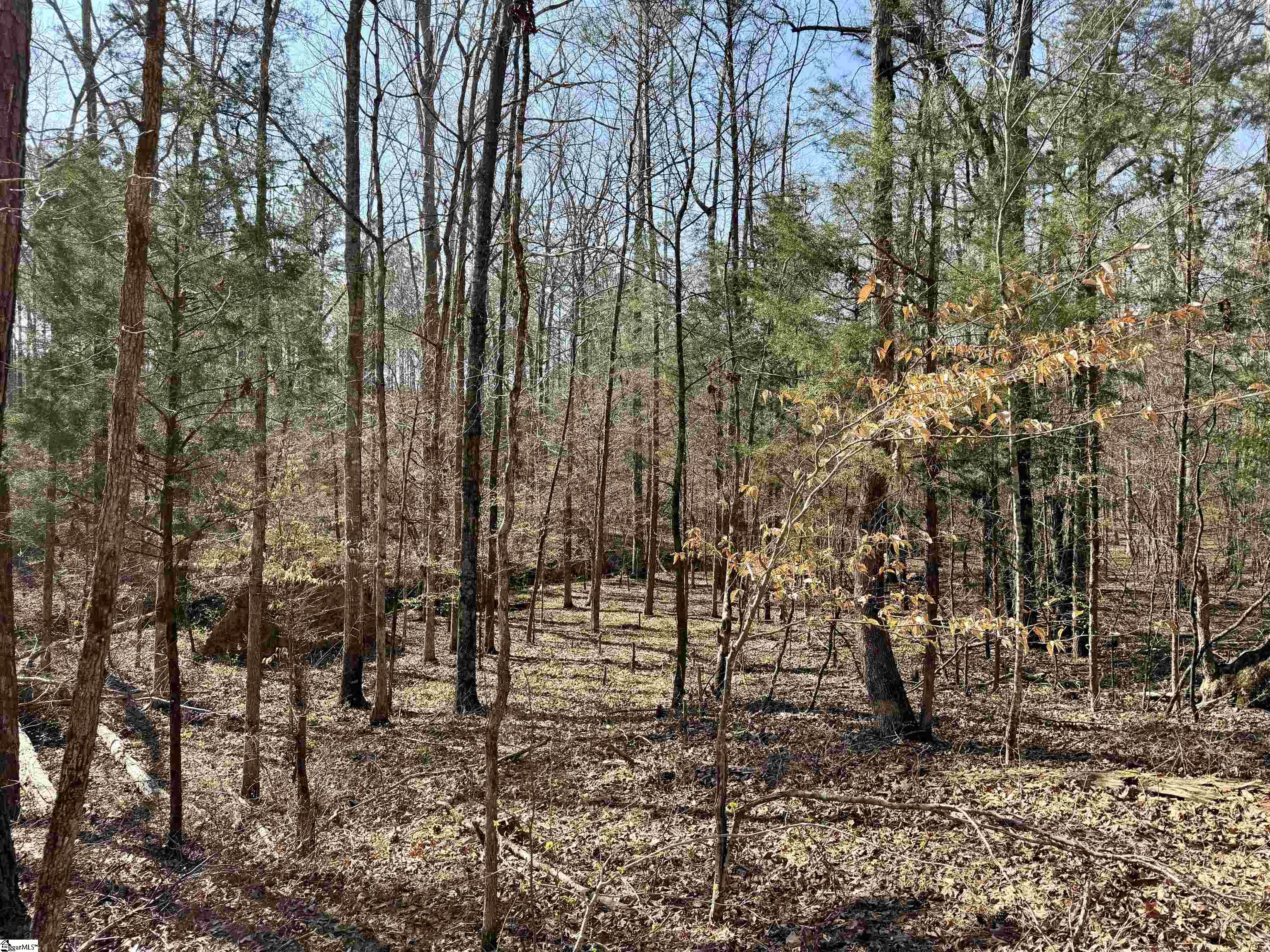 0 Highway 28 Property Photo 25