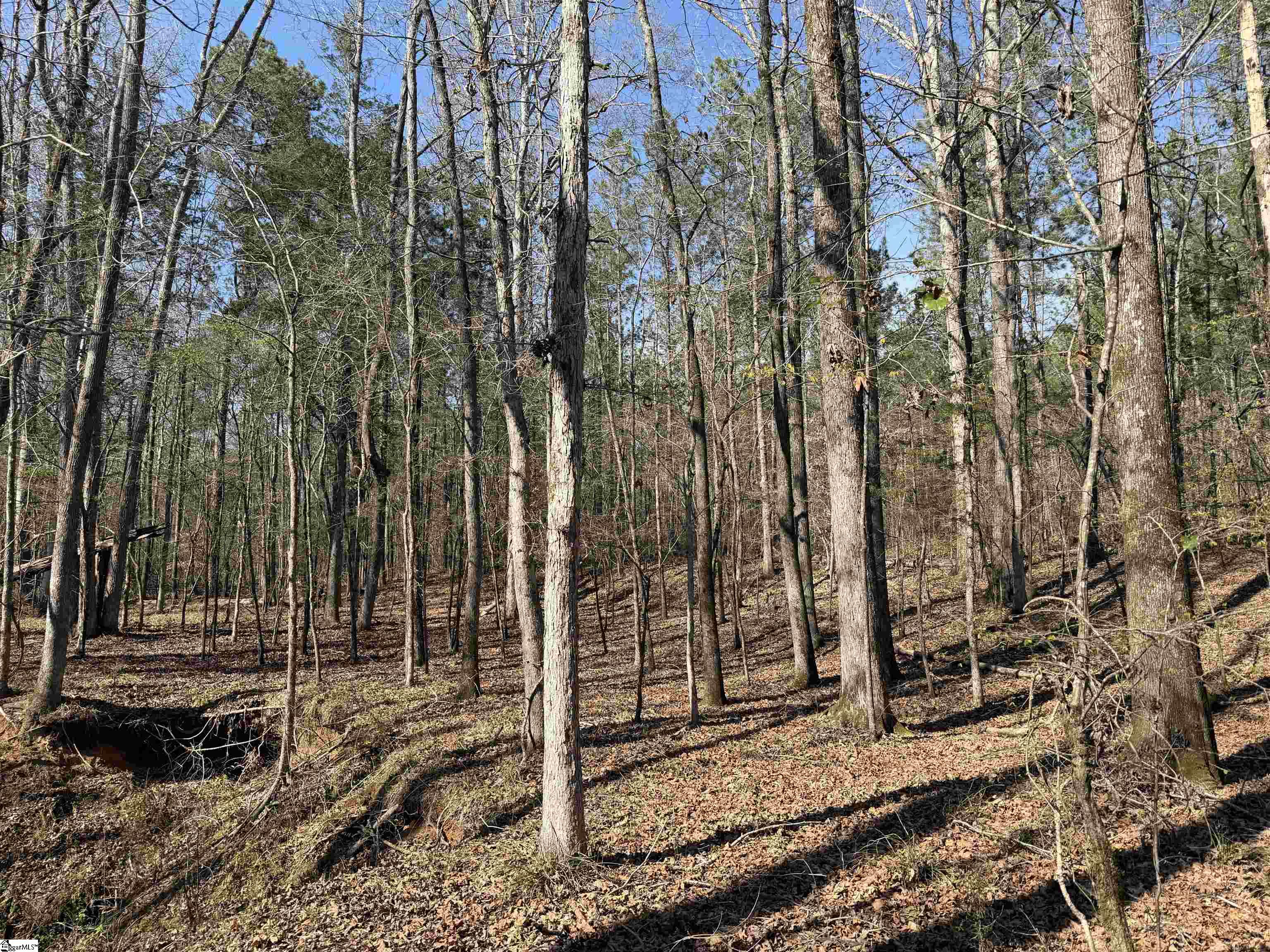 0 Highway 28 Property Photo 26