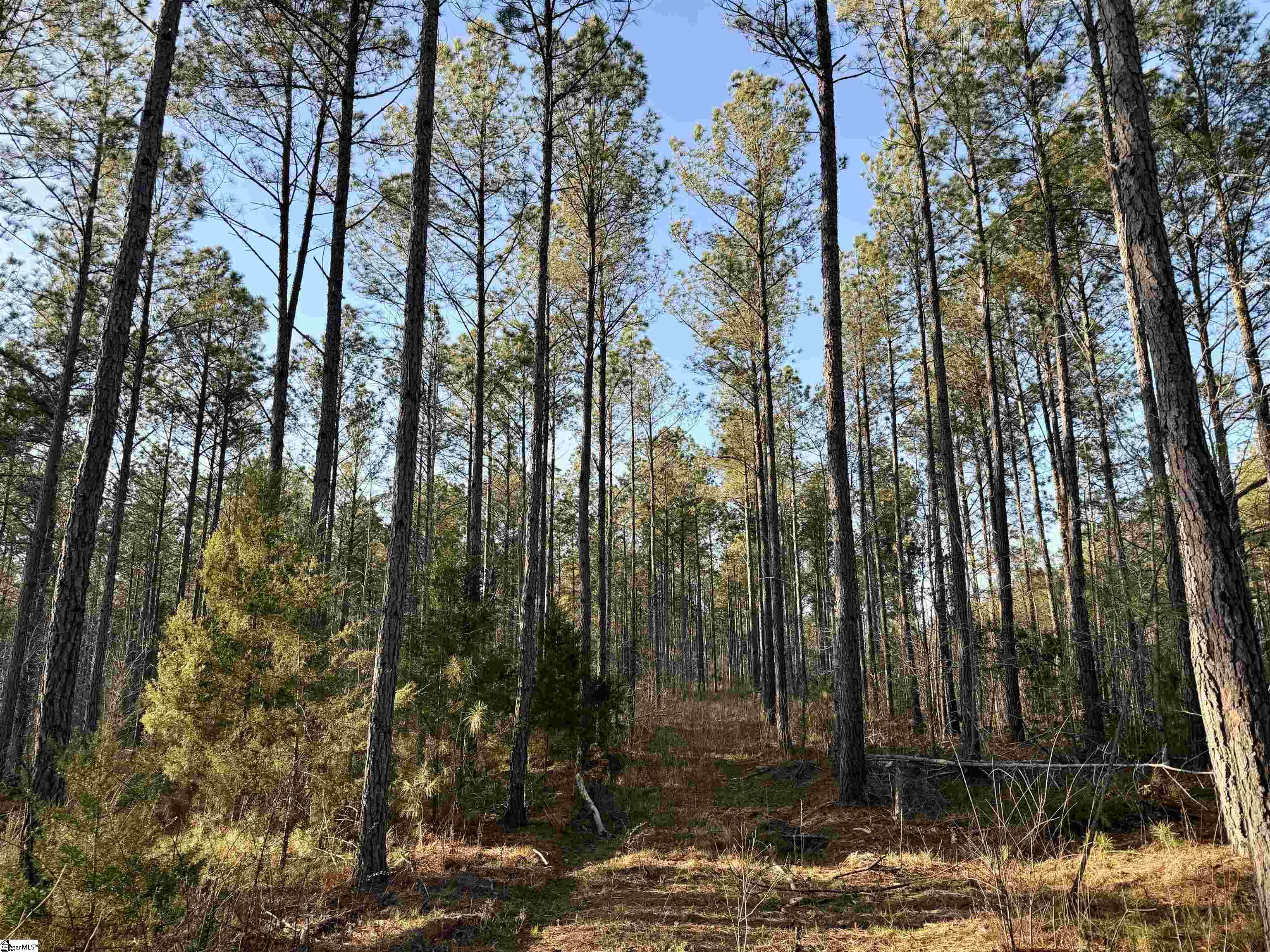 0 Highway 28 Property Photo 29