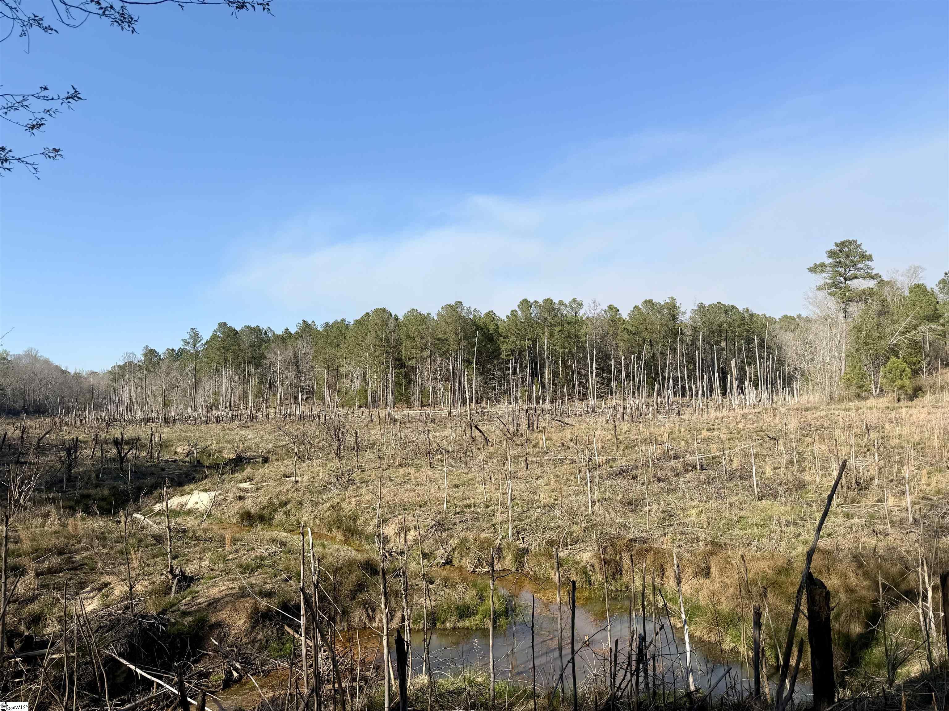 0 Highway 28 Property Photo 31