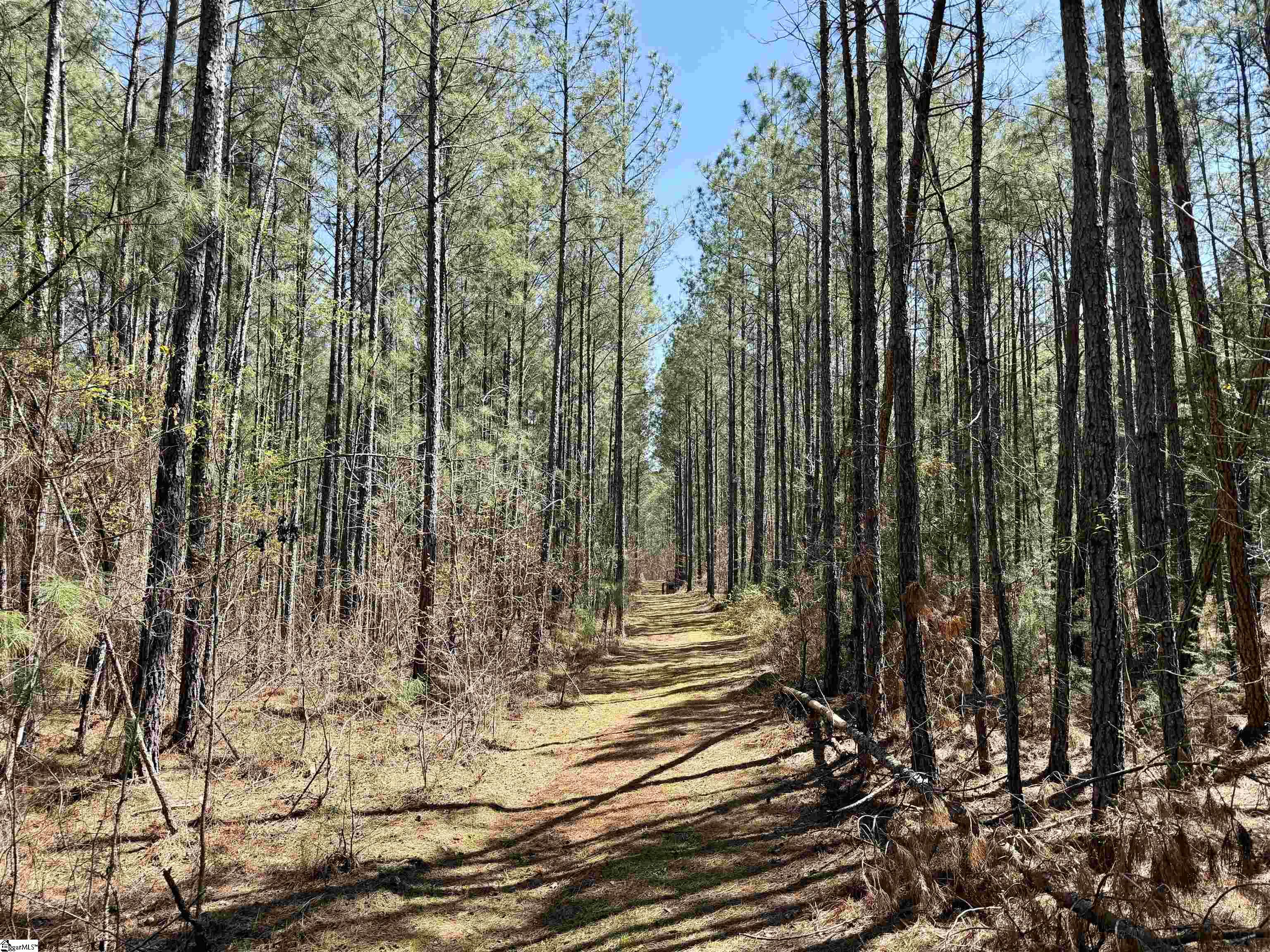 0 Highway 28 Property Photo 32
