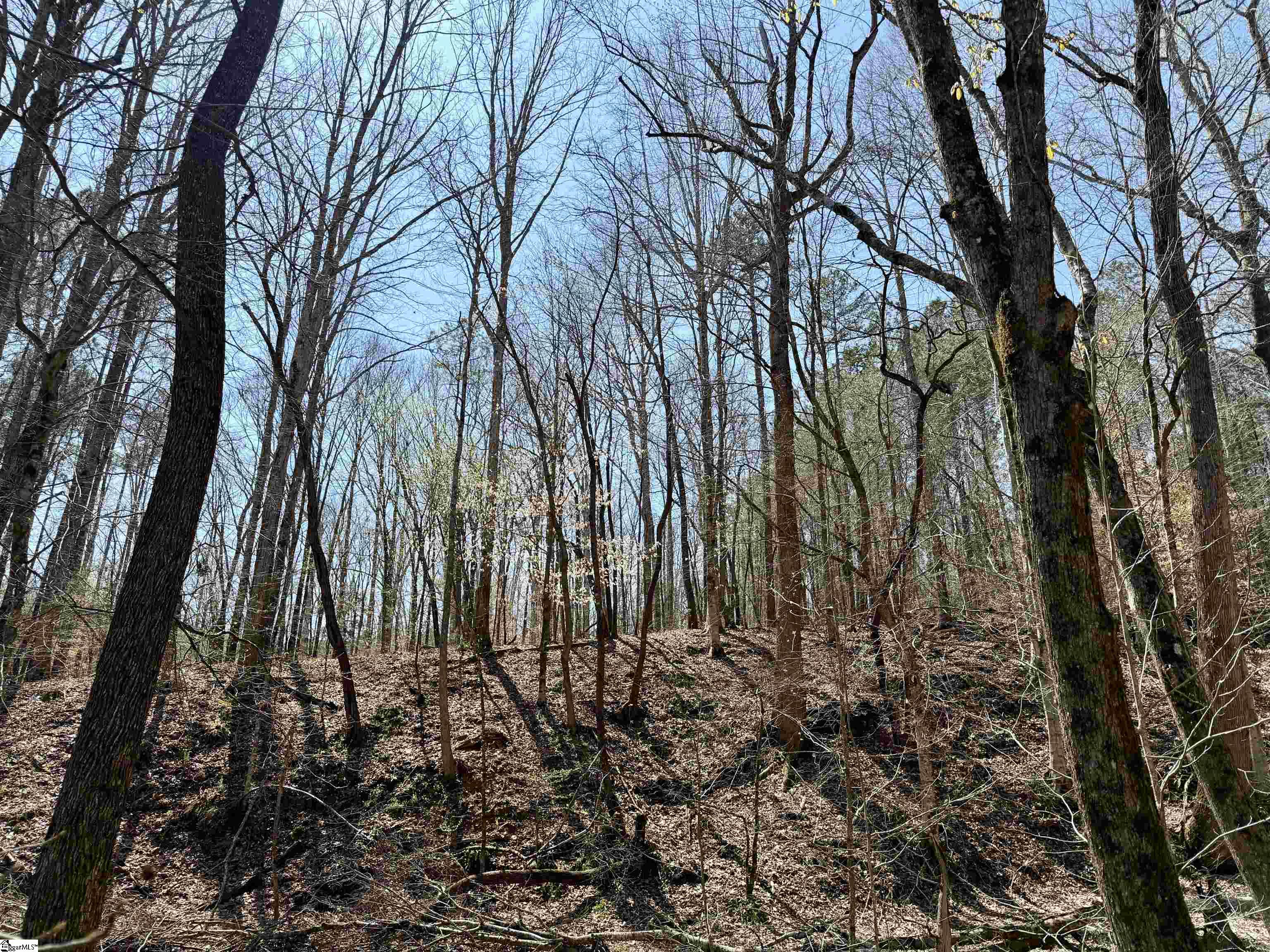 0 Highway 28 Property Photo 34