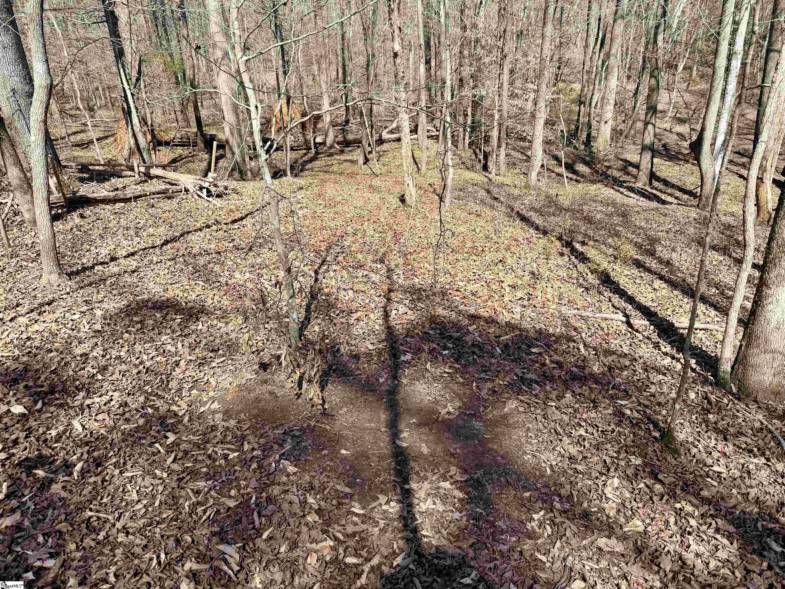 0 Highway 28 Property Photo 43