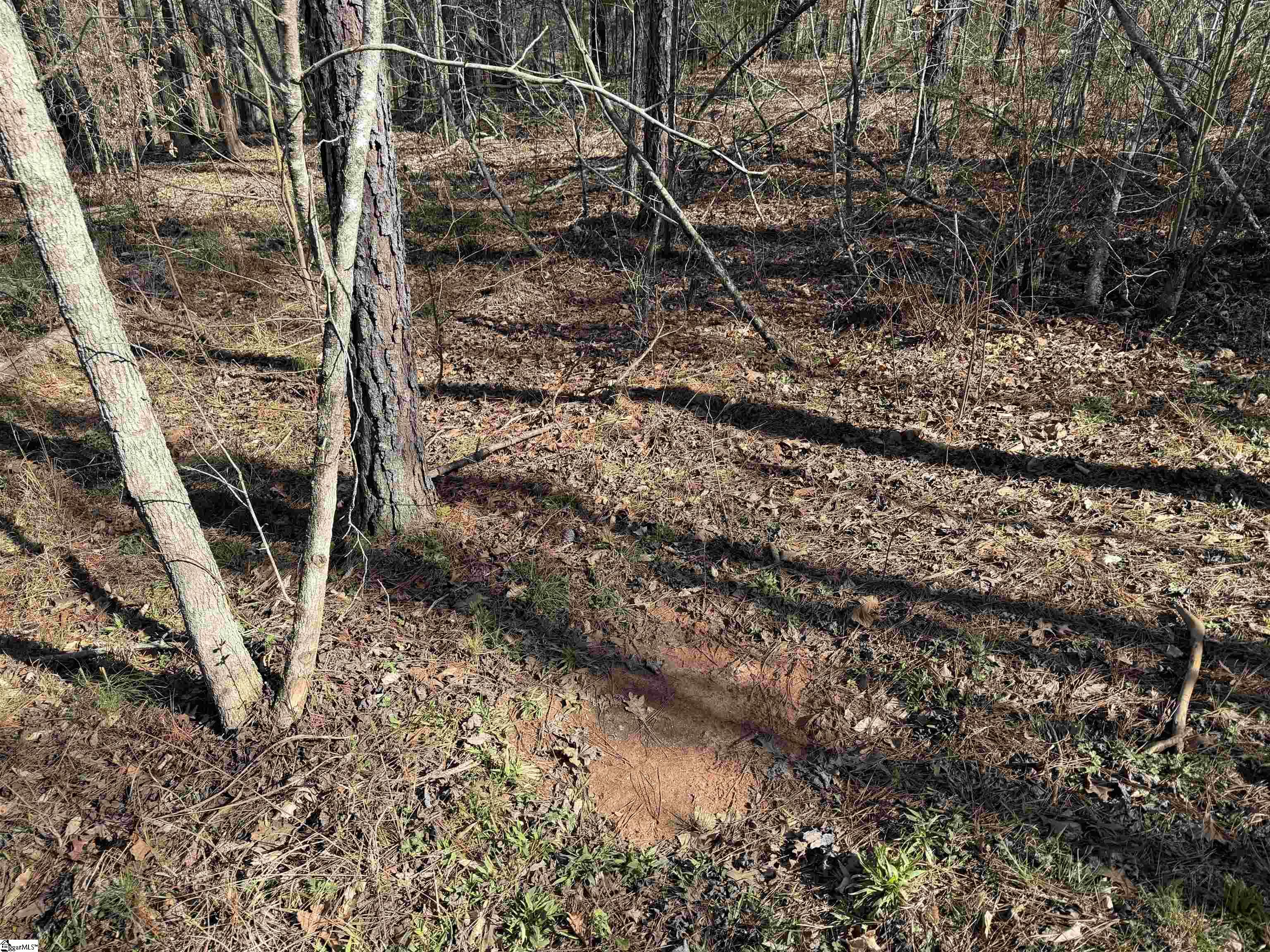 0 Highway 28 Property Photo 44