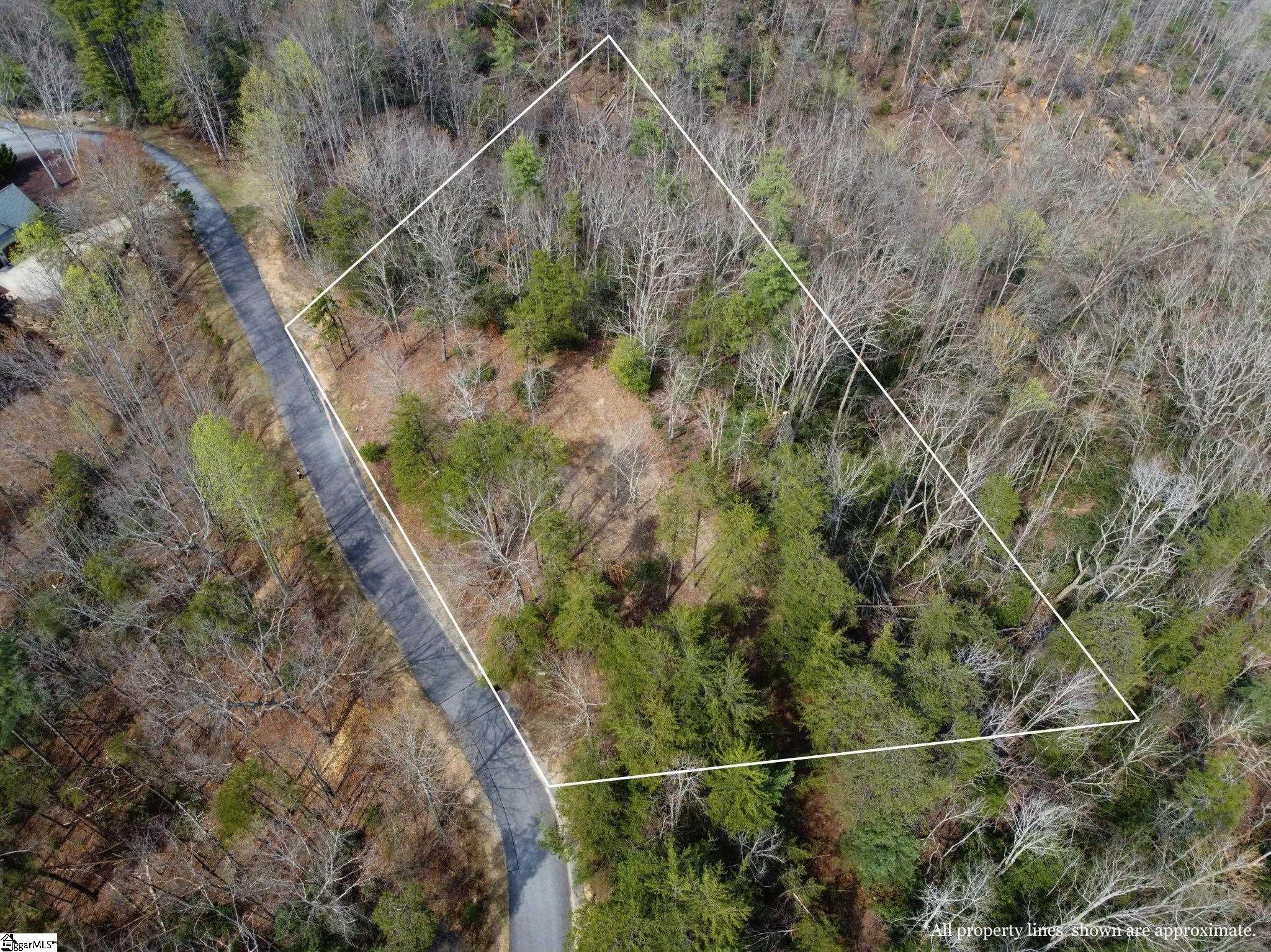 1585961 Property Photo 5