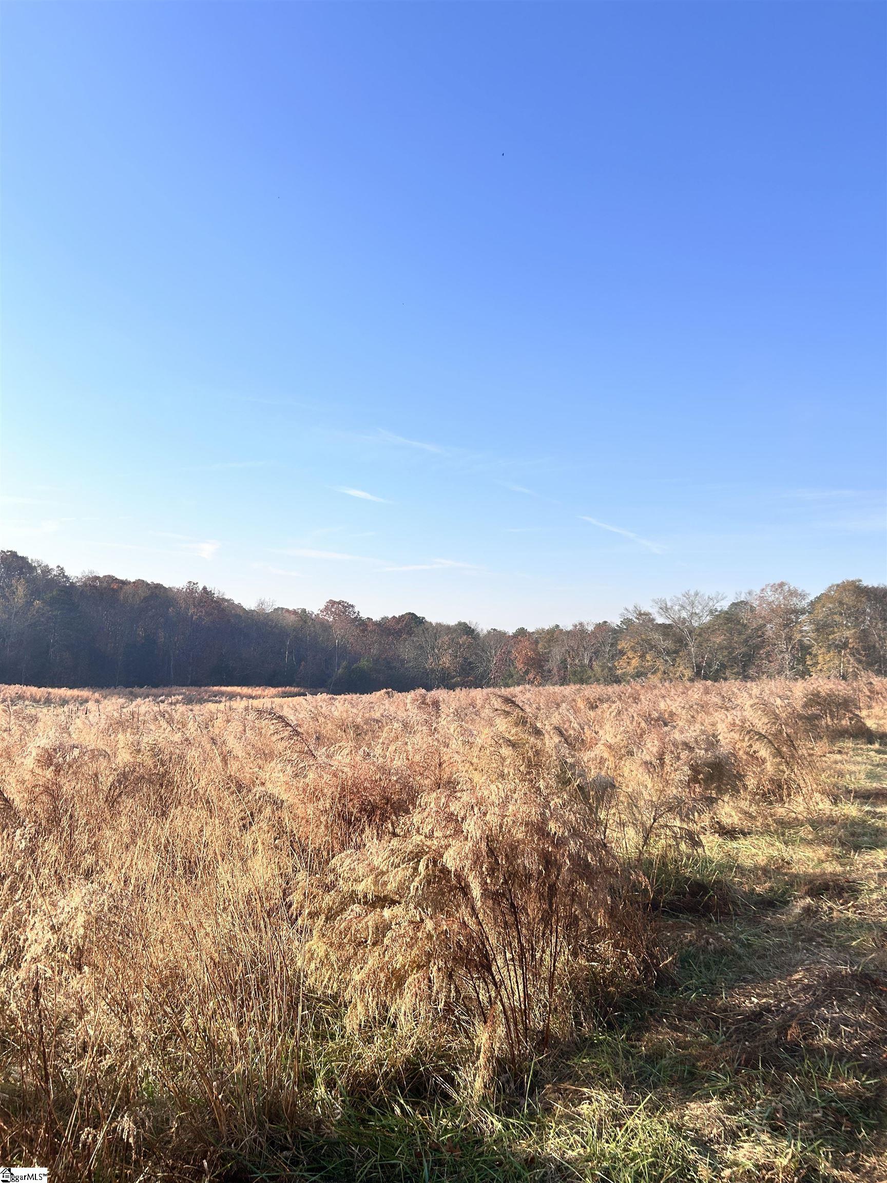 00 Rocky River Ame Church Road Property Photo 13