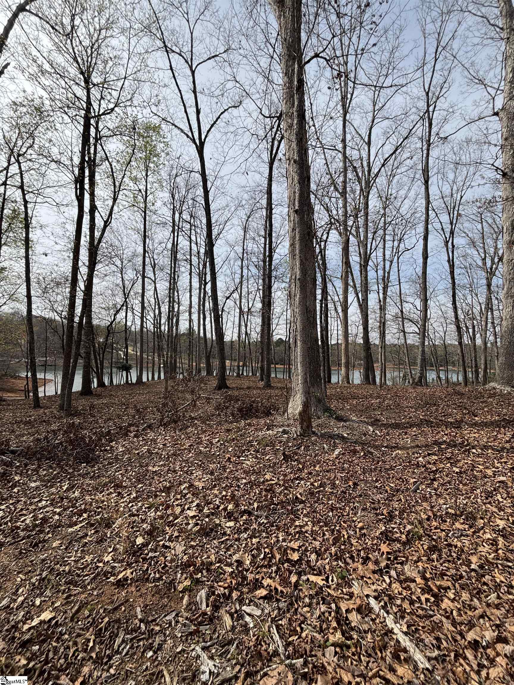 133 Falling Leaf Drive Property Photo 2