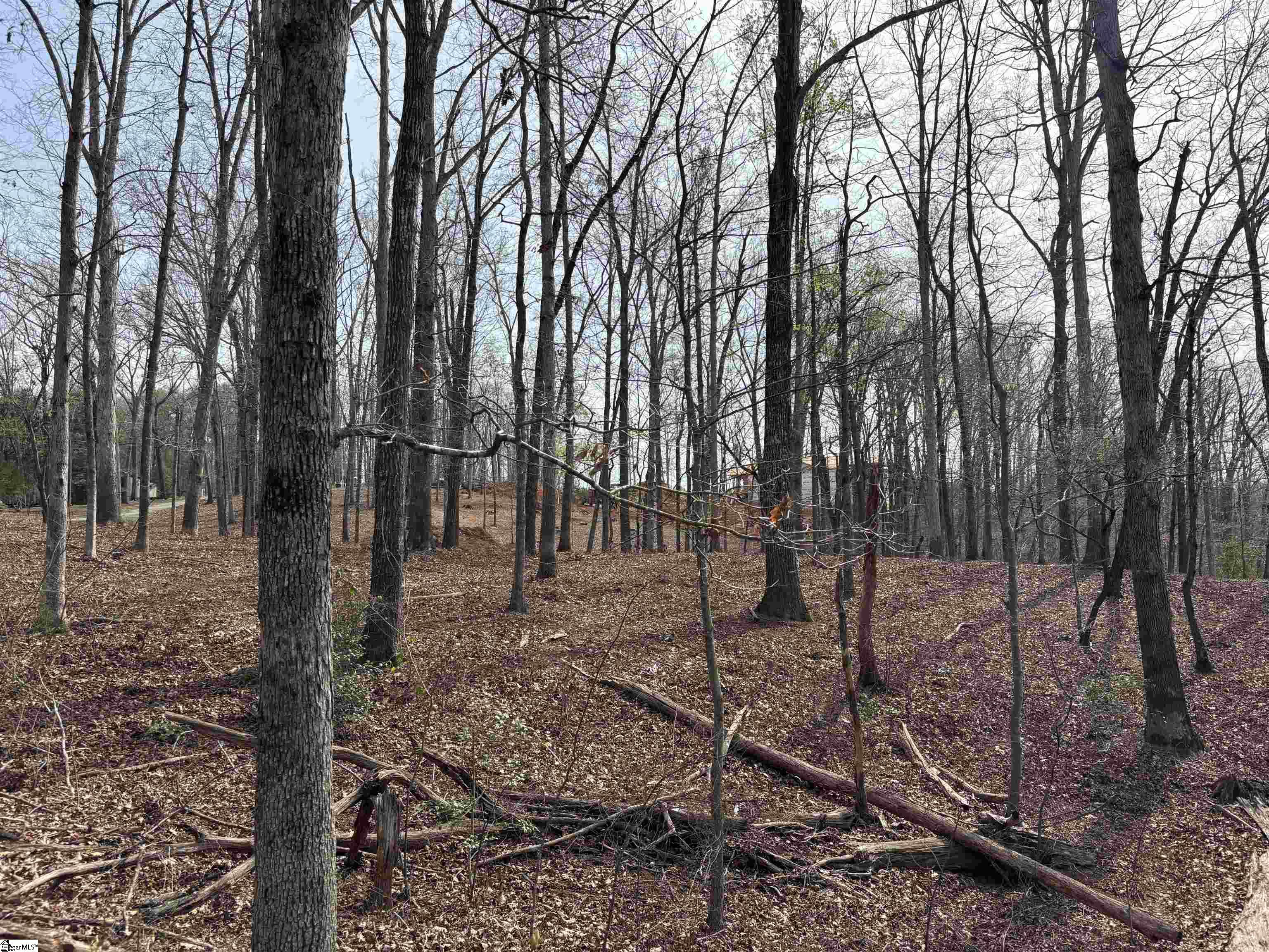 133 Falling Leaf Drive Property Photo 5