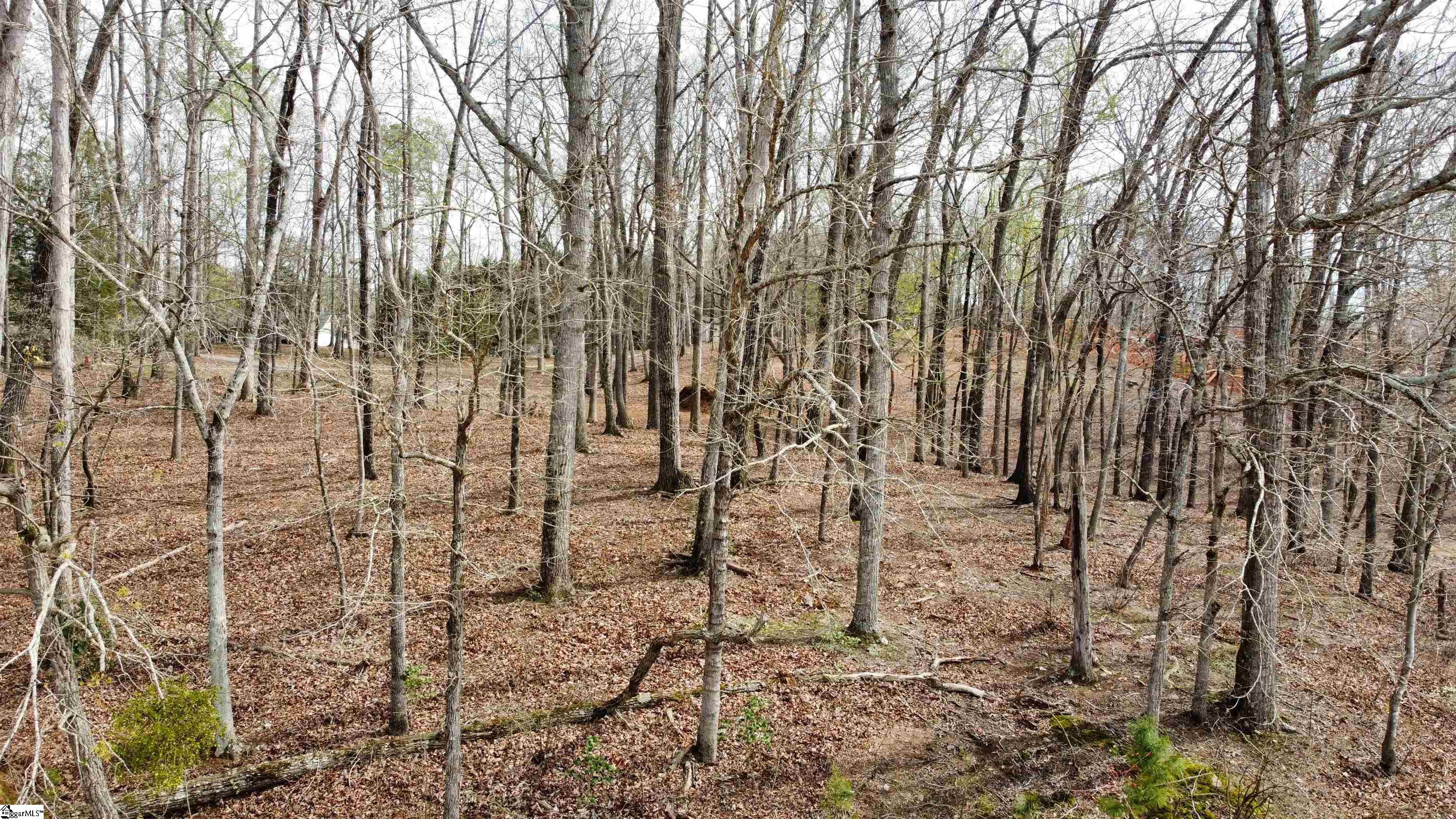 133 Falling Leaf Drive Property Photo 8