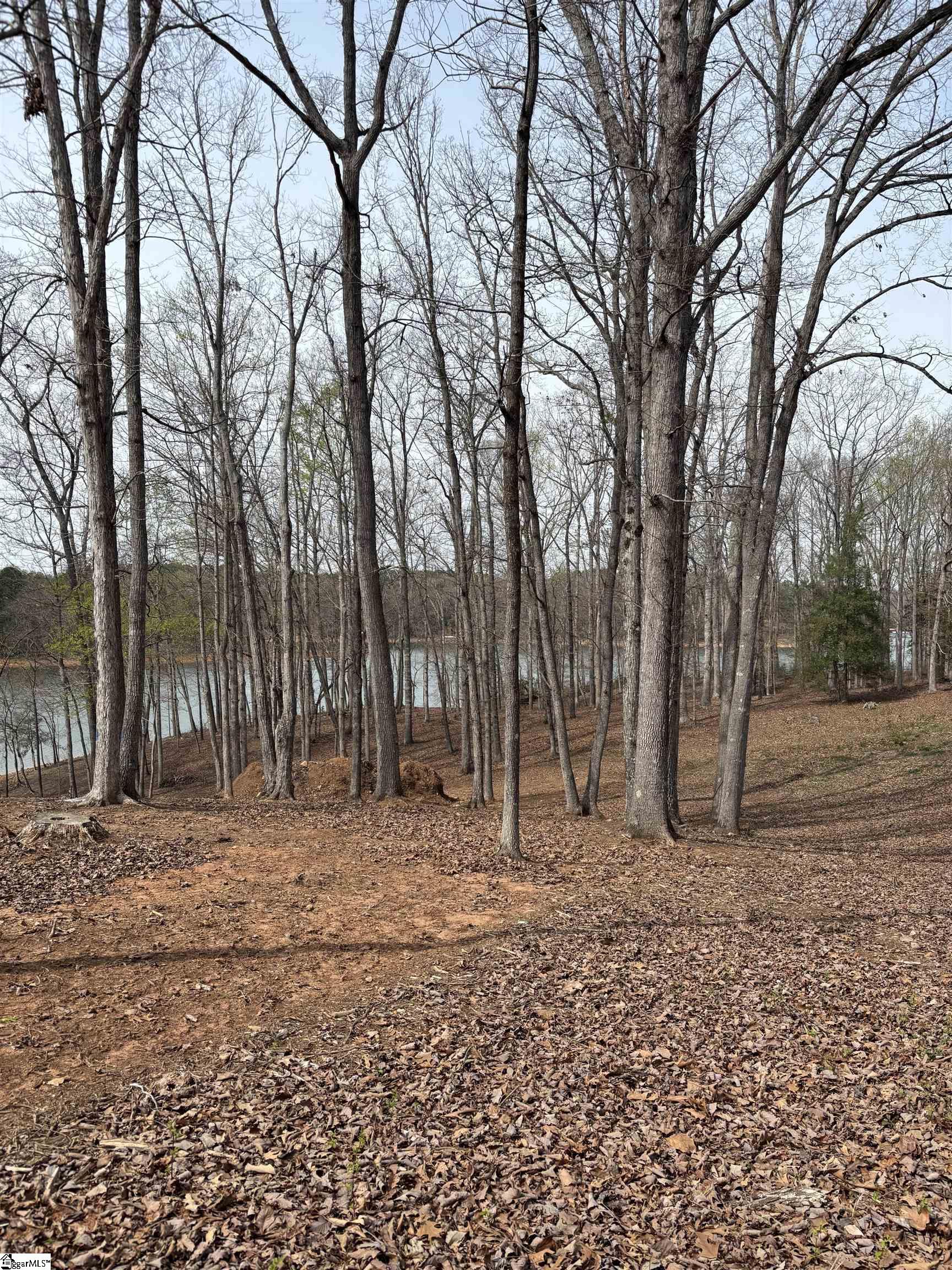 133 Falling Leaf Drive Property Photo 15