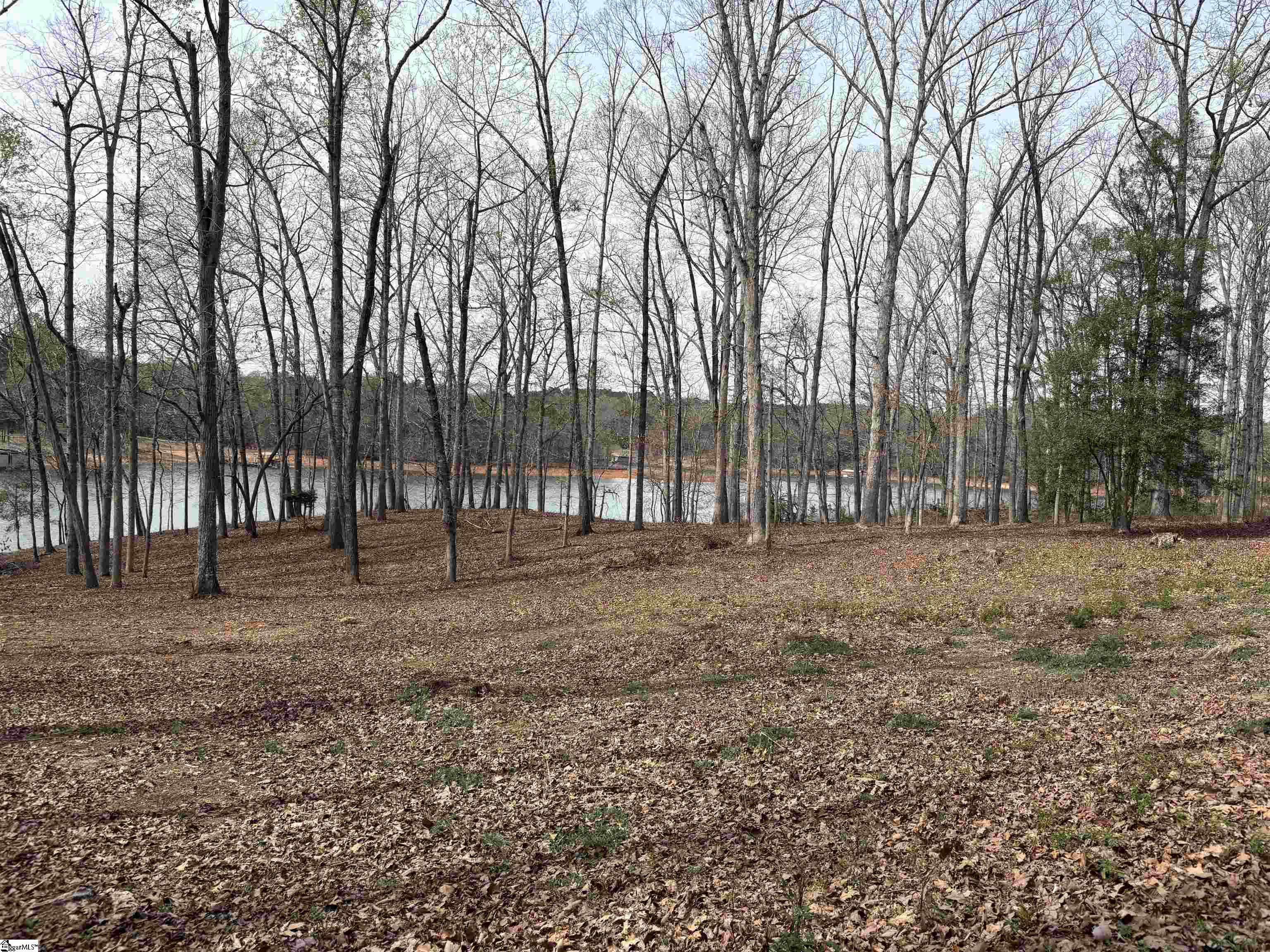 133 Falling Leaf Drive Property Photo 16