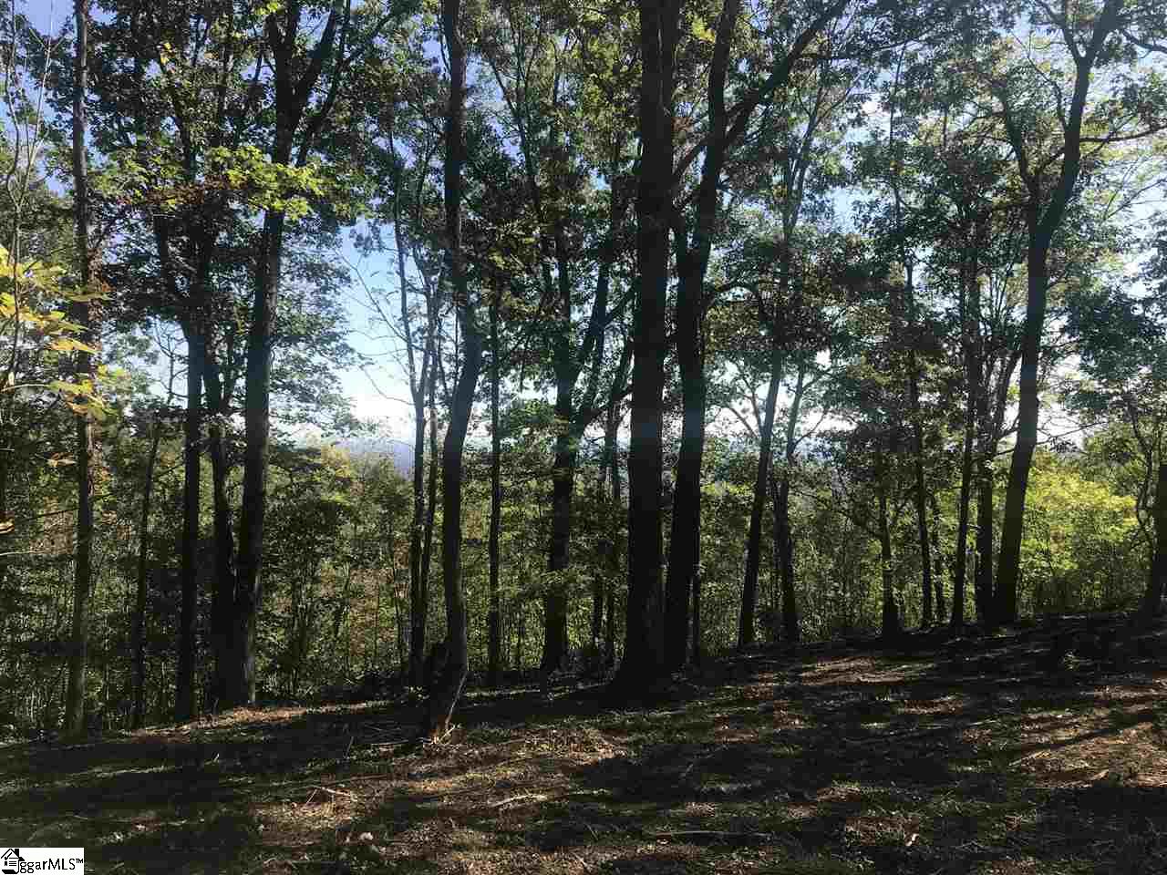 143 Raptor Way Property Photo 1