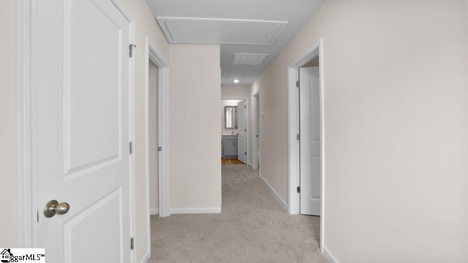 227 Deskin Lane Property Photo 18