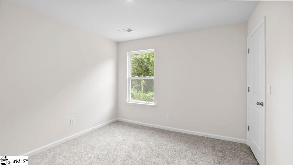 227 Deskin Lane Property Photo 21