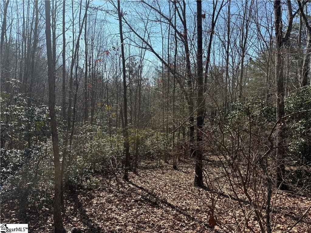 1586259 Property Photo 4