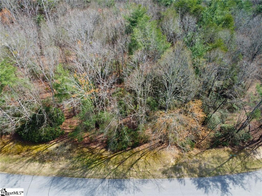 1586259 Property Photo 6