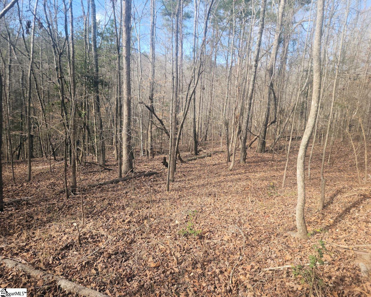 25 S Highway Property Photo 14
