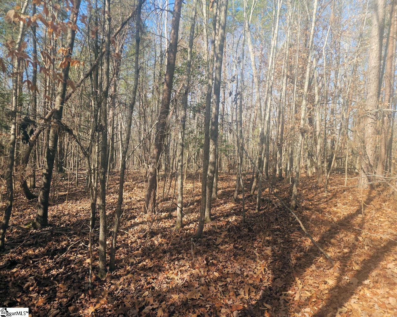 25 S Highway Property Photo 15