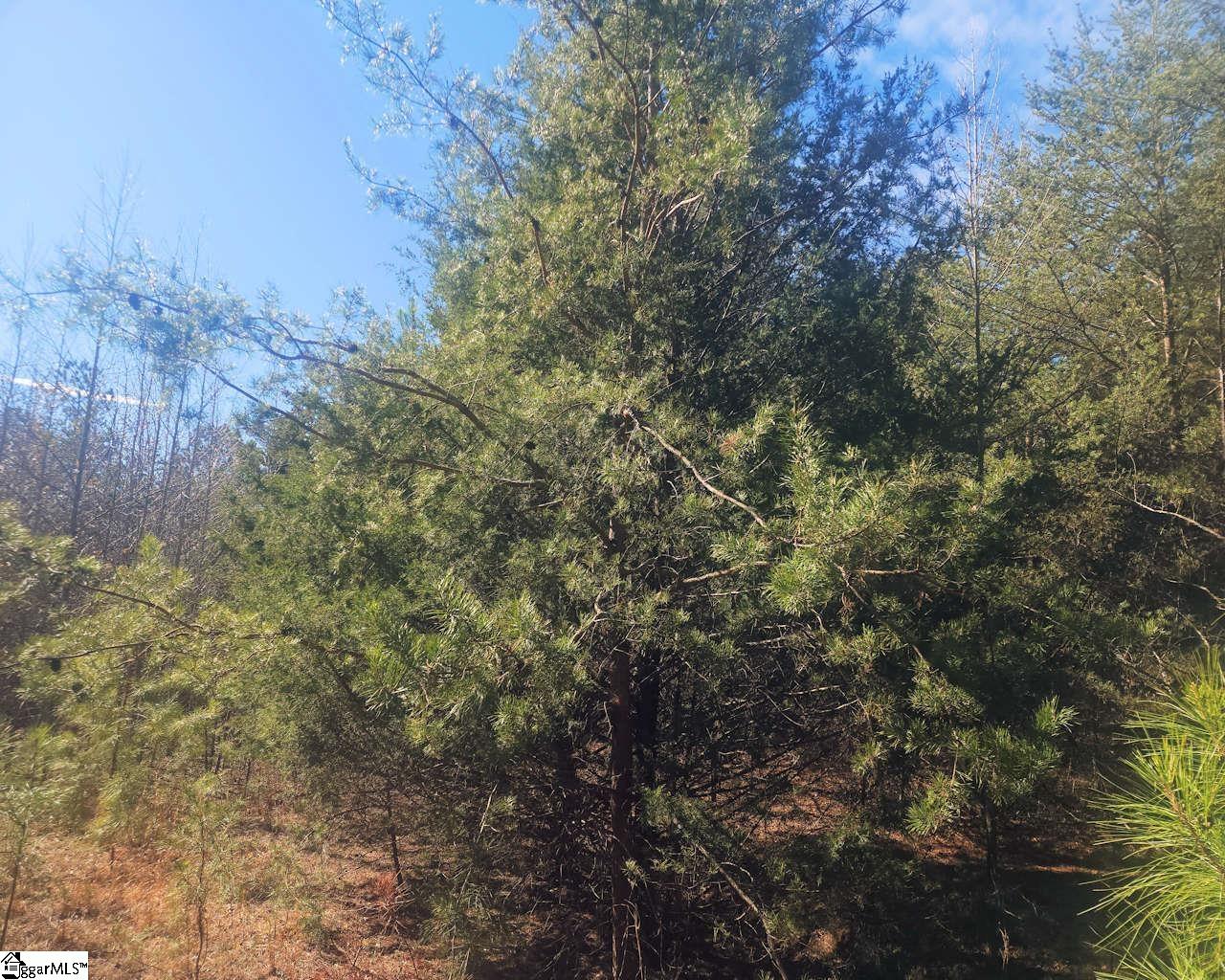 25 S Highway Property Photo 19