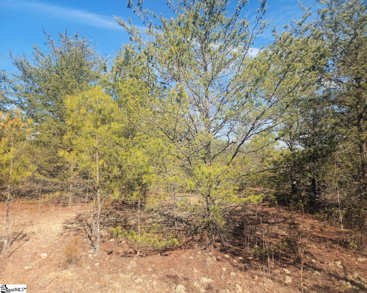25 S Highway Property Photo 20