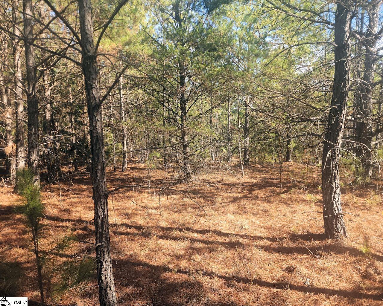 25 S Highway Property Photo 22