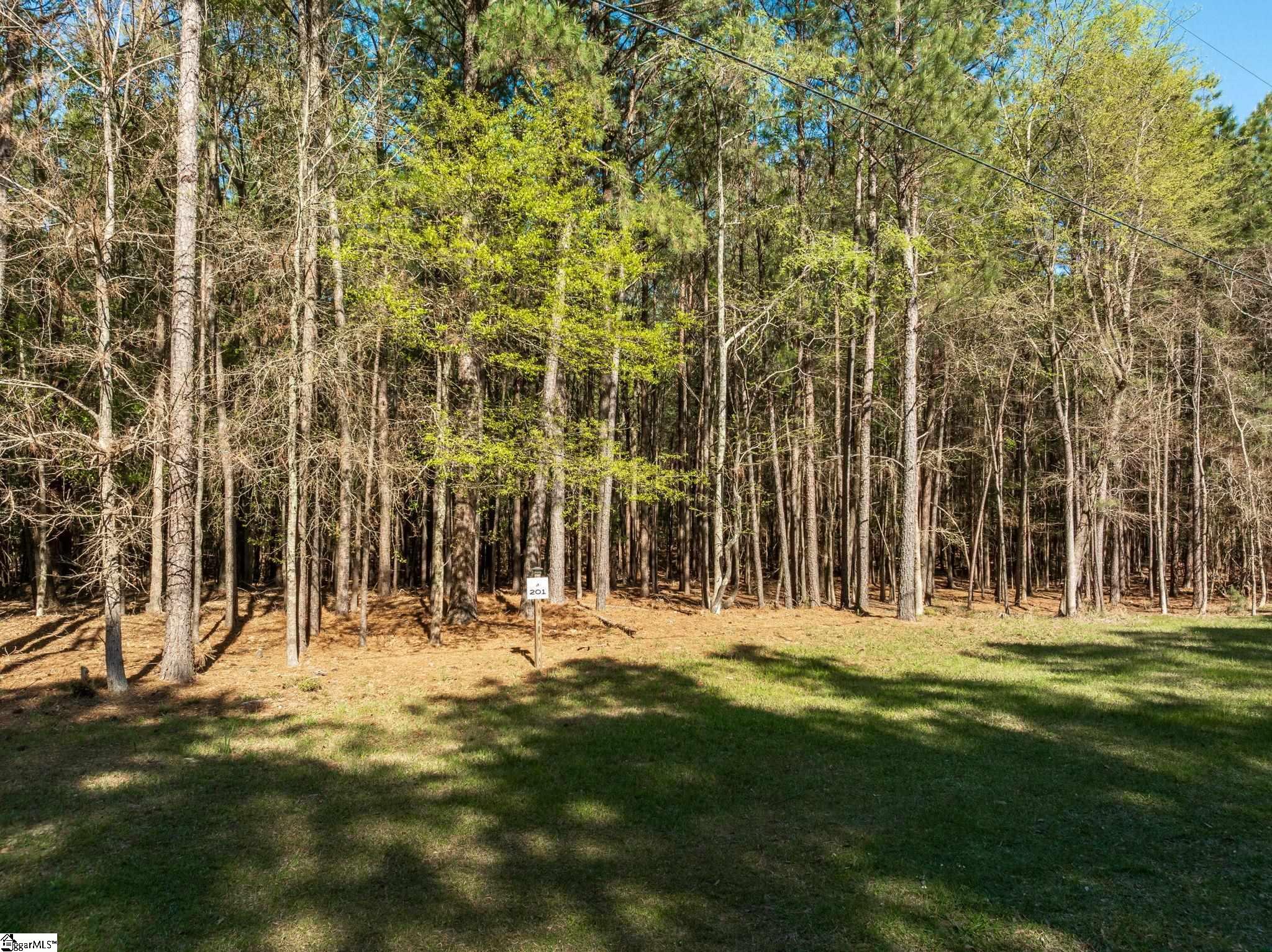 201 Peninsula Drive Property Photo 3