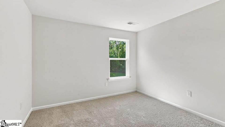 2343 Springview Court Property Photo 21