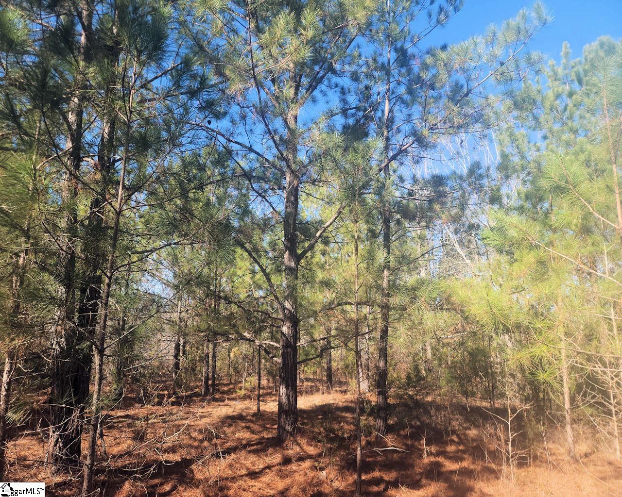 1586681 Property Photo 5
