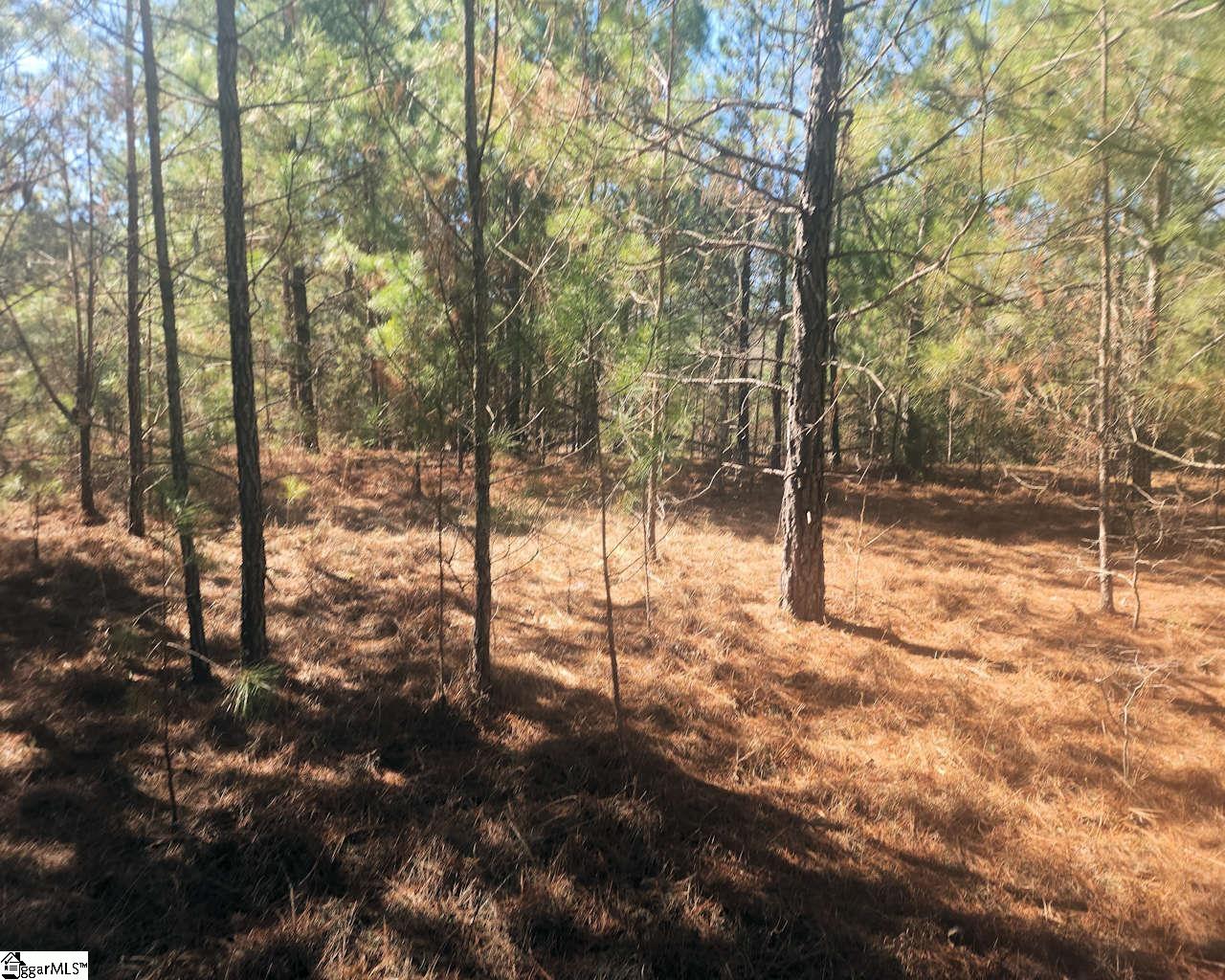 1586681 Property Photo 7
