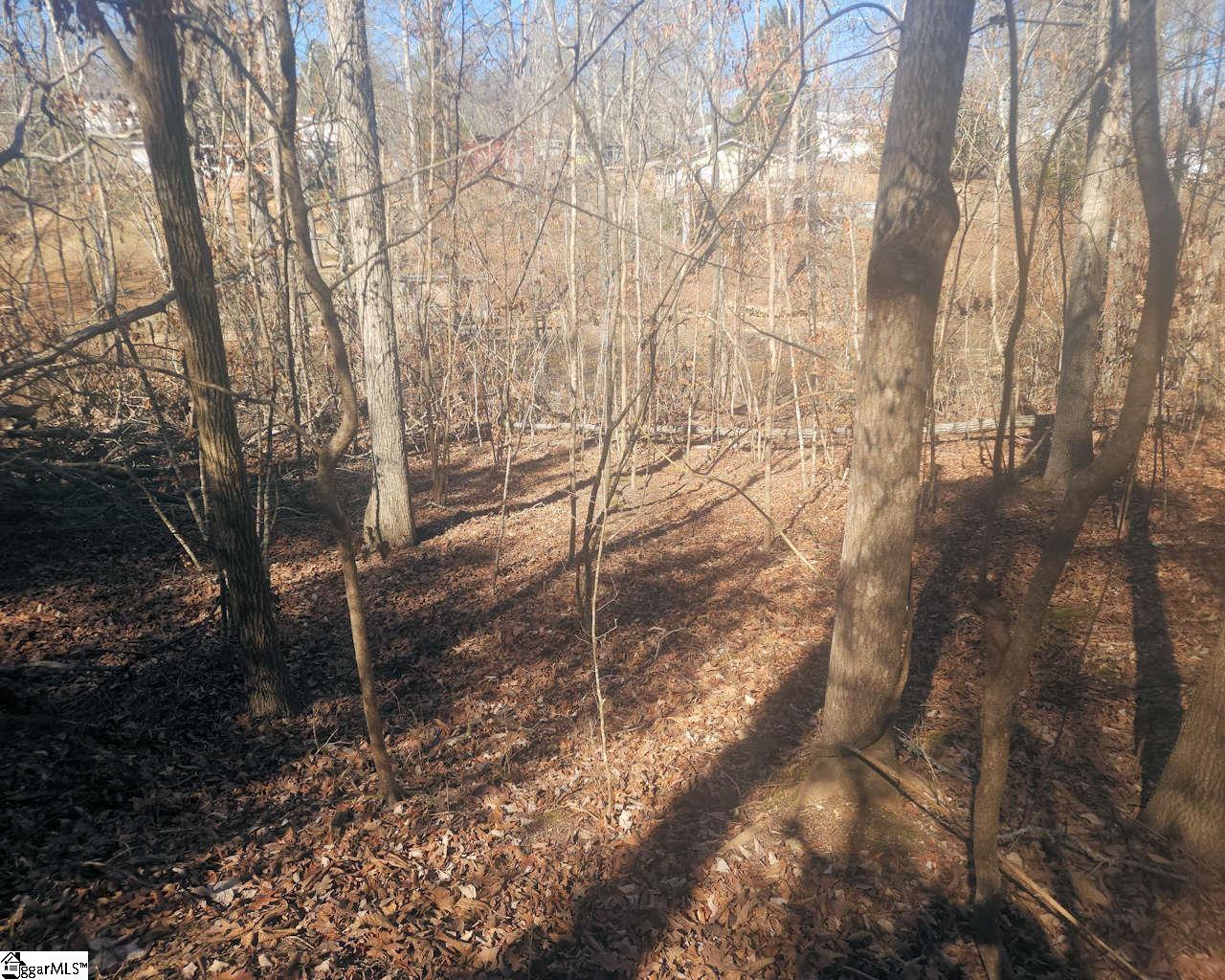 1586681 Property Photo 8