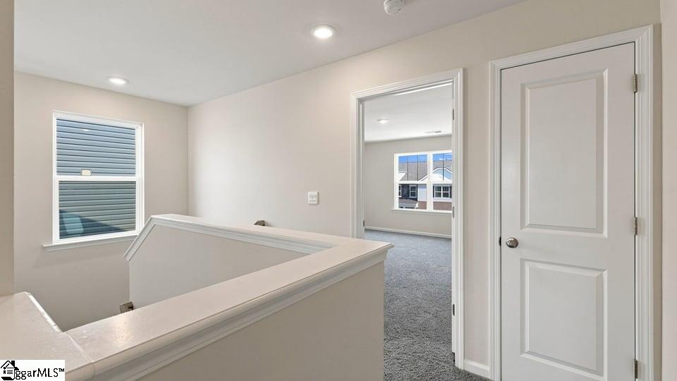 2164 Springview Court Property Photo 21