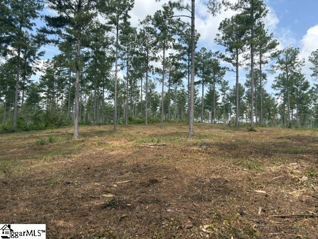 338 Berry Road Property Photo 2