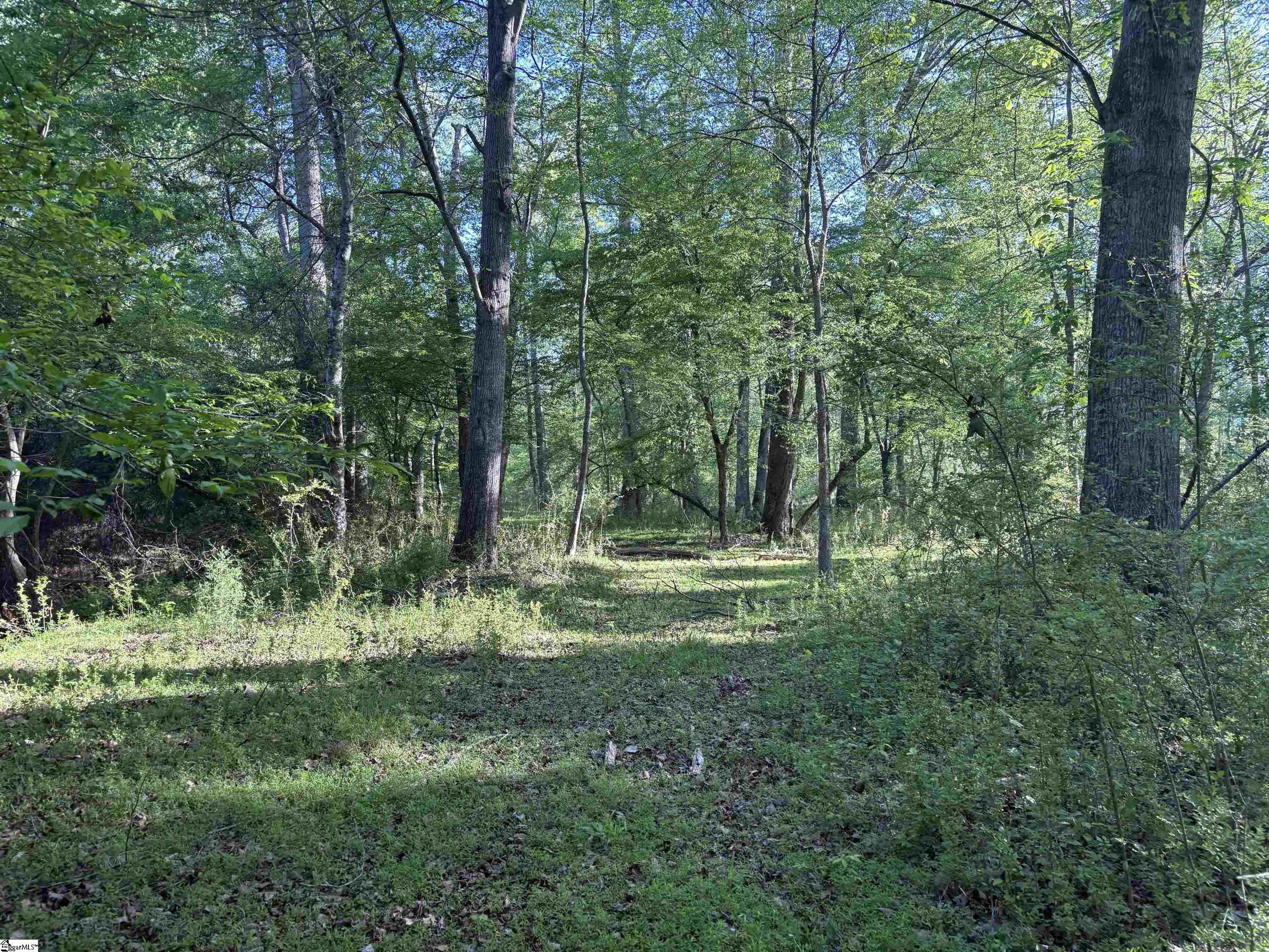 338 Berry Road Property Photo 5