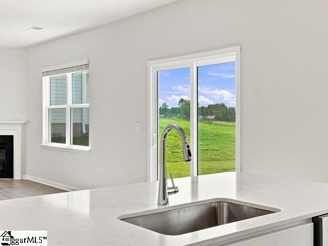 2178 Springview Court Property Photo 14