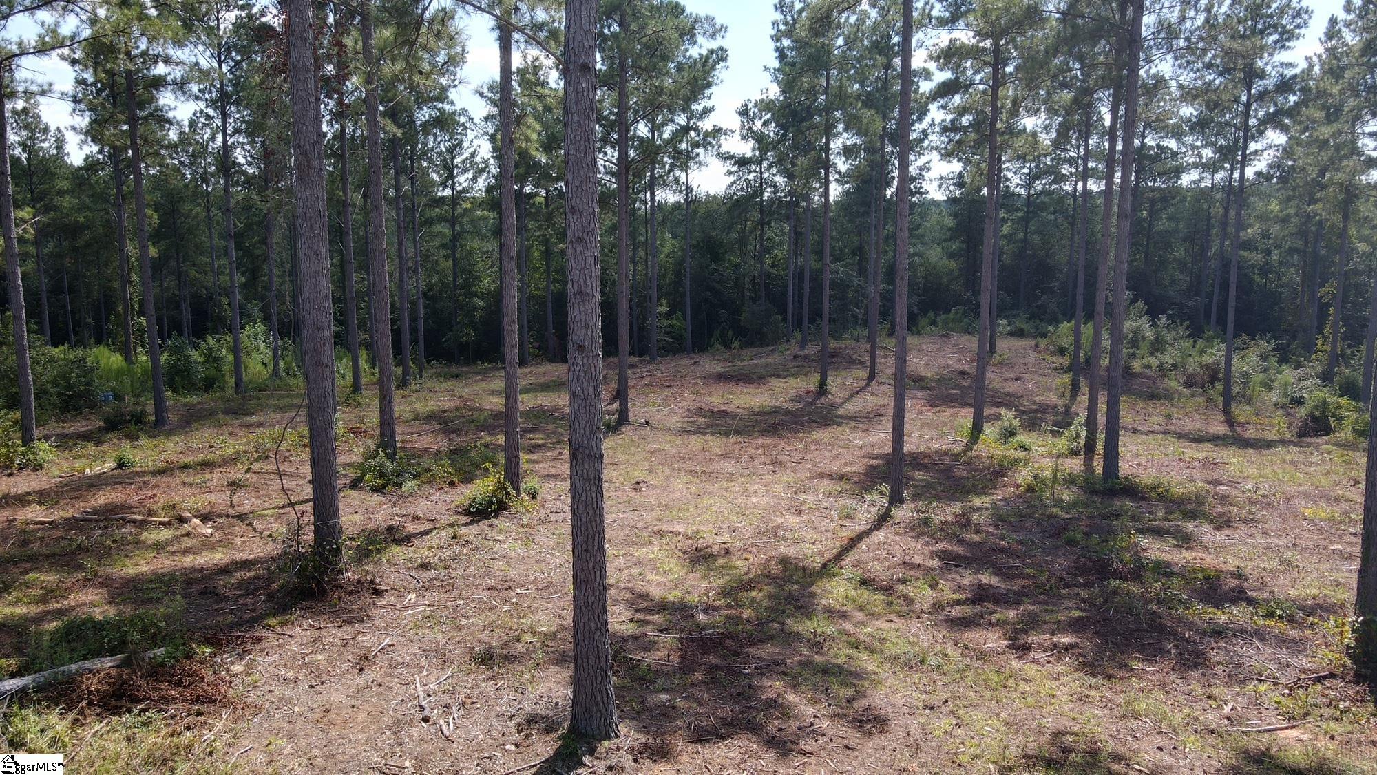 336 Berry Road Property Photo 13