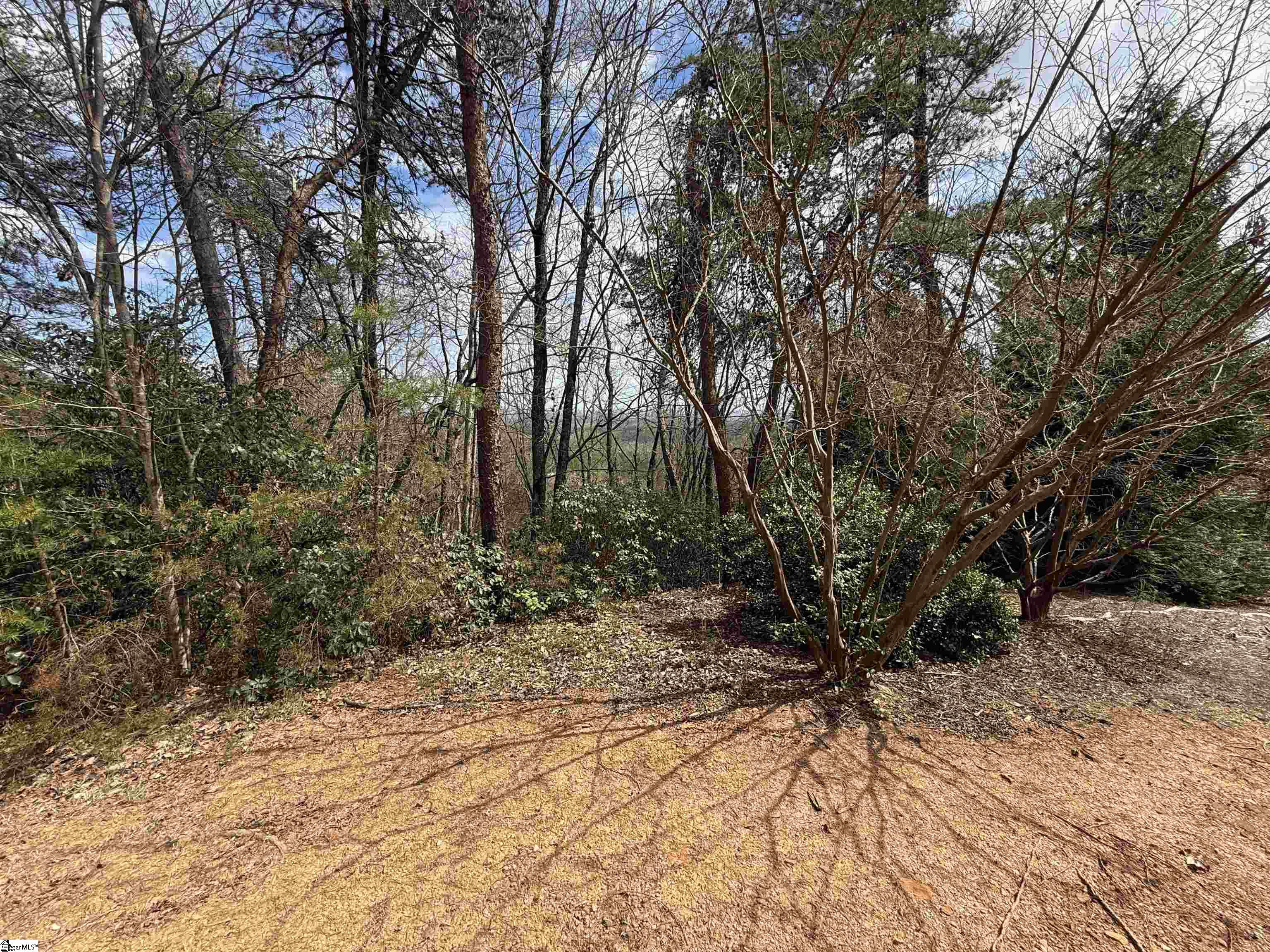 1586932 Property Photo 8