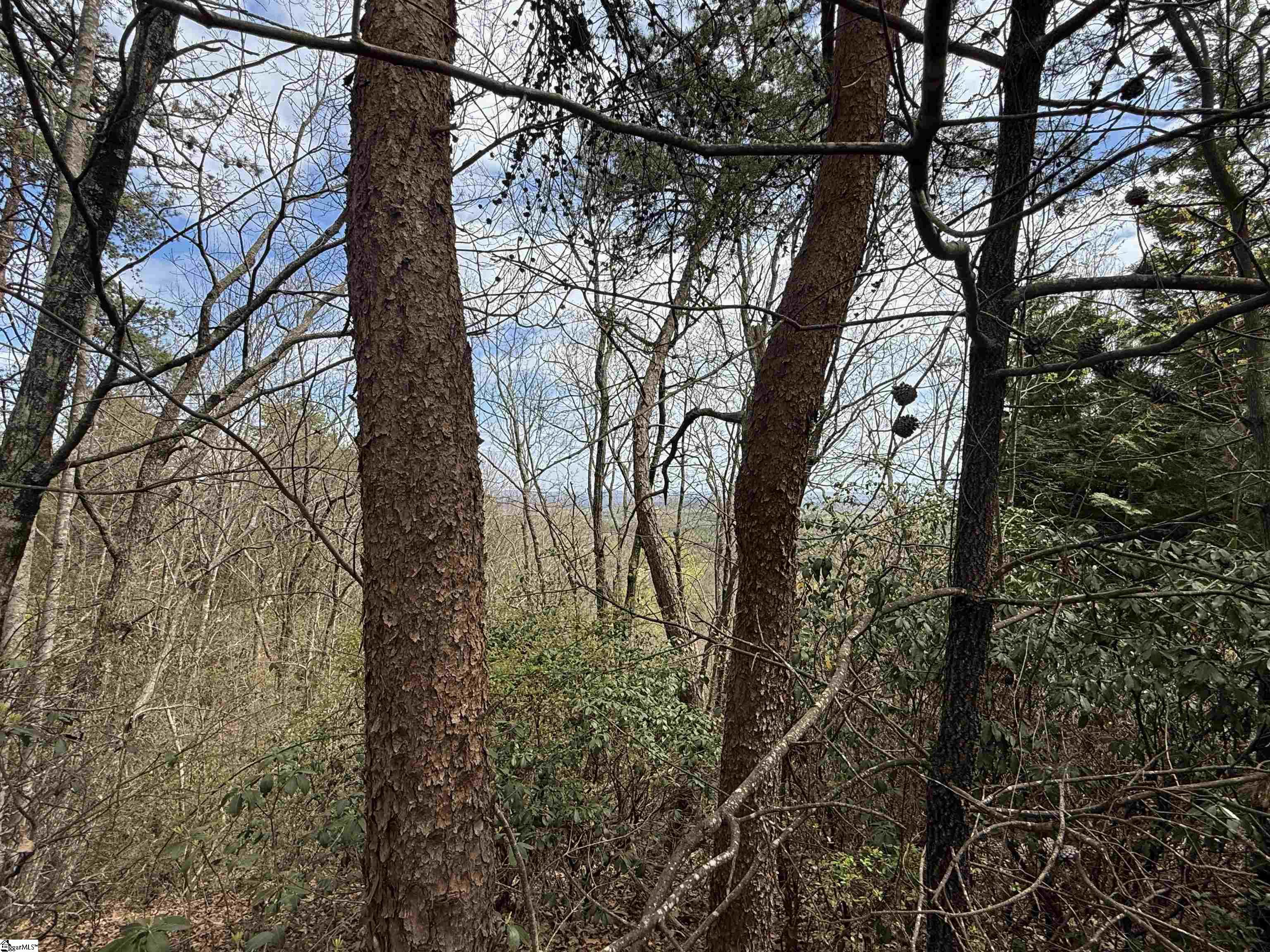 1586932 Property Photo 9