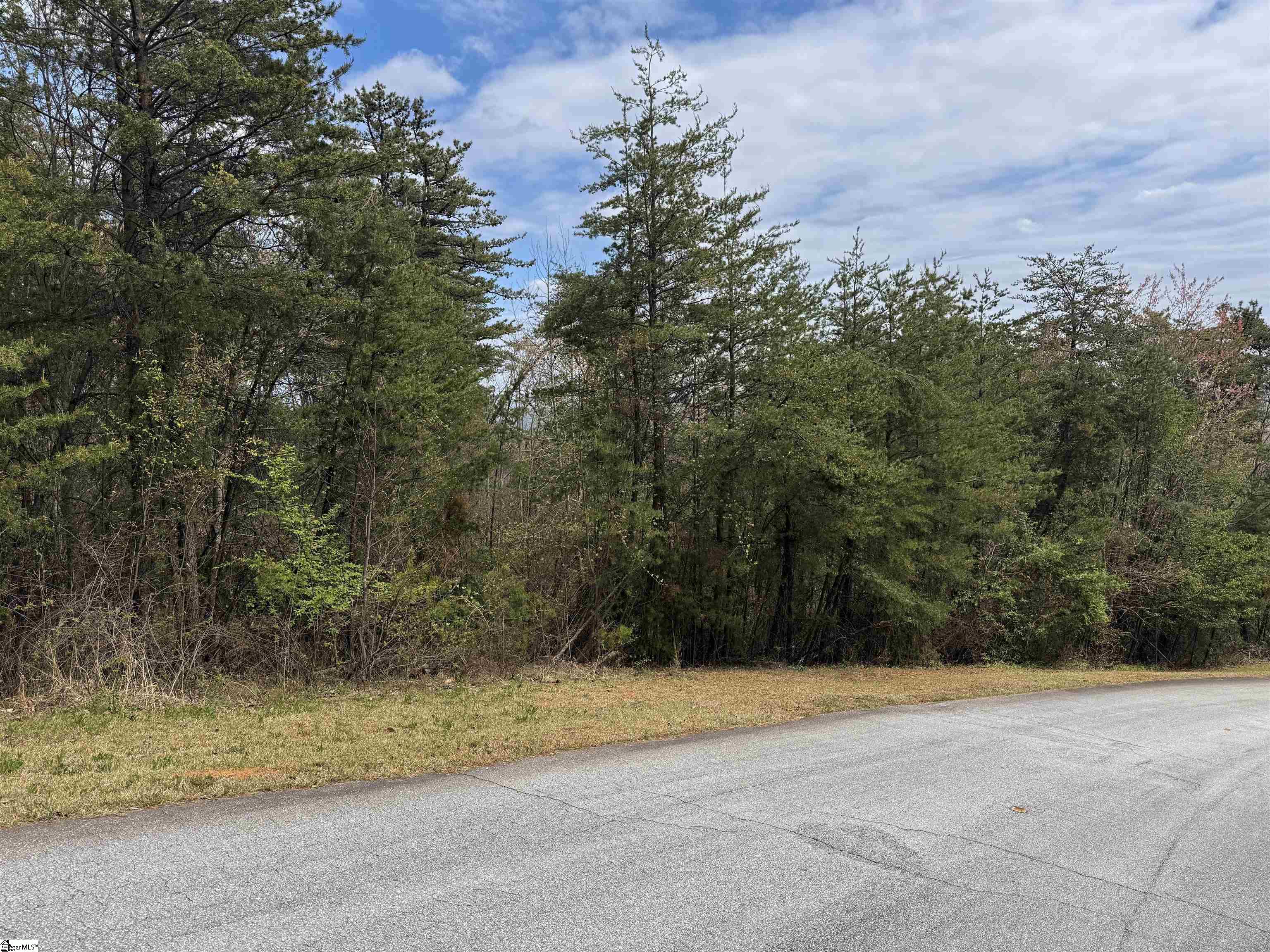 1586932 Property Photo 10