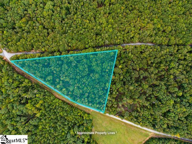 01 S. Packs Mtn Road Property Photo 1