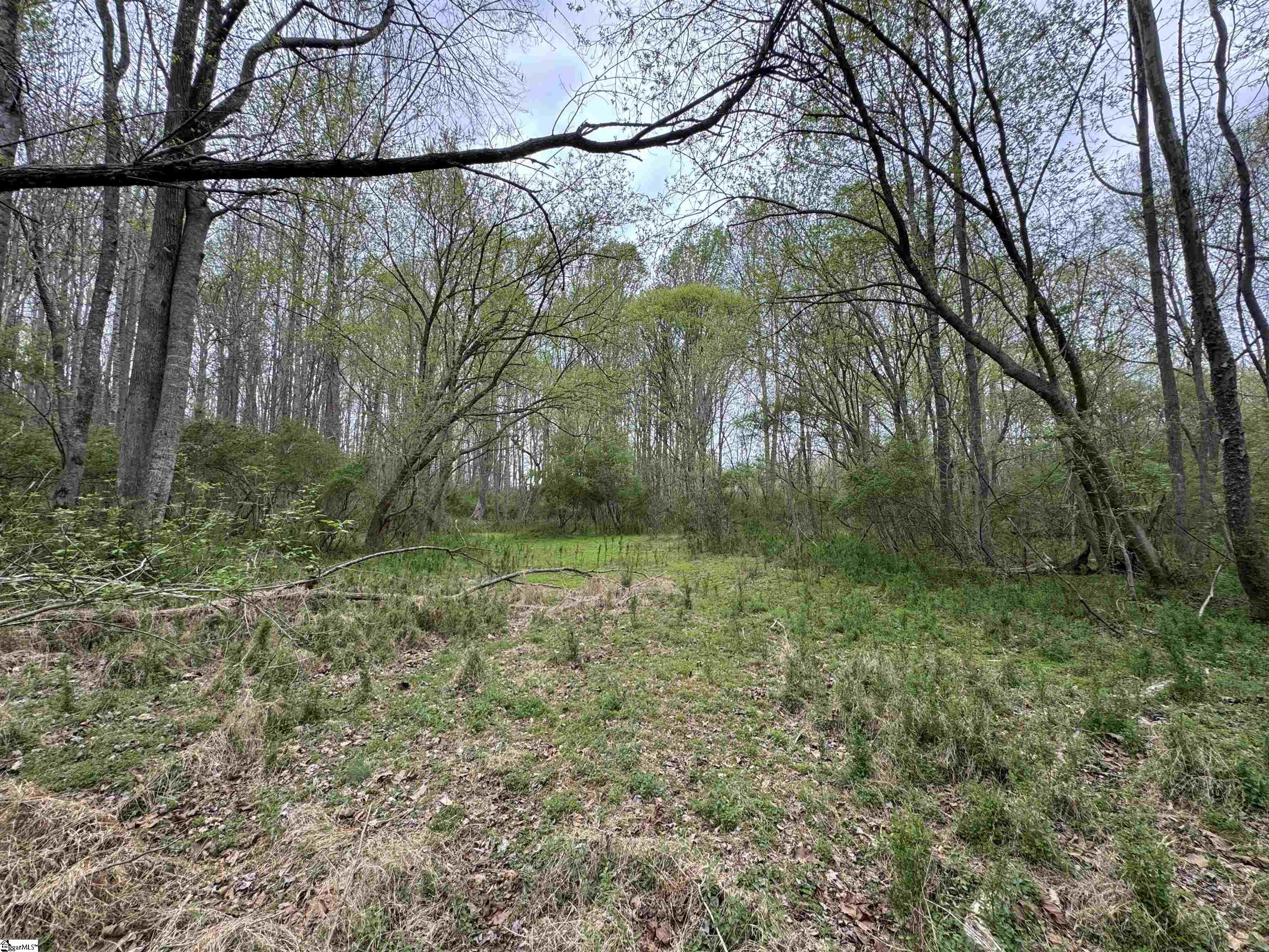 850 Lebanon Road Property Photo 30