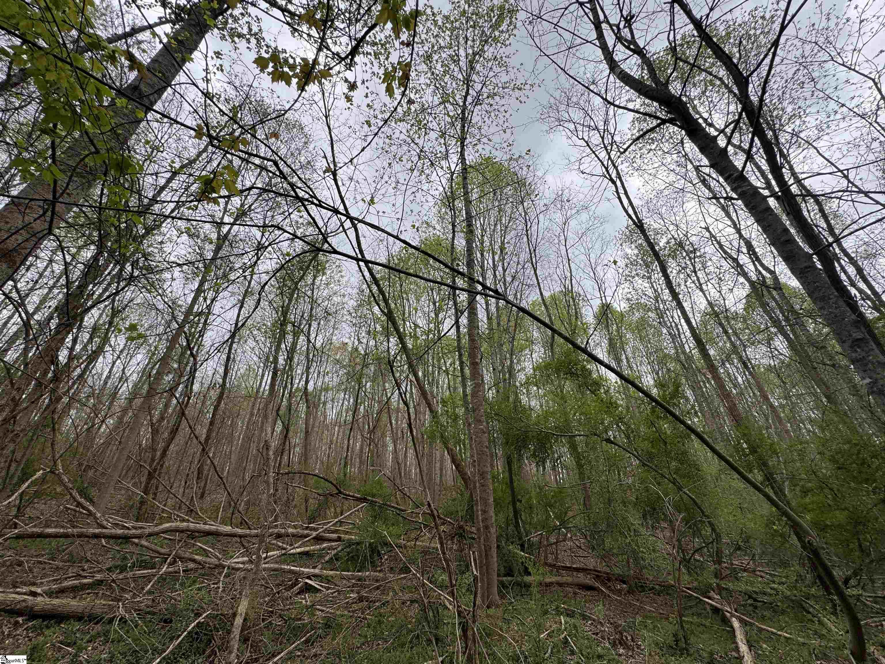 850 Lebanon Road Property Photo 31