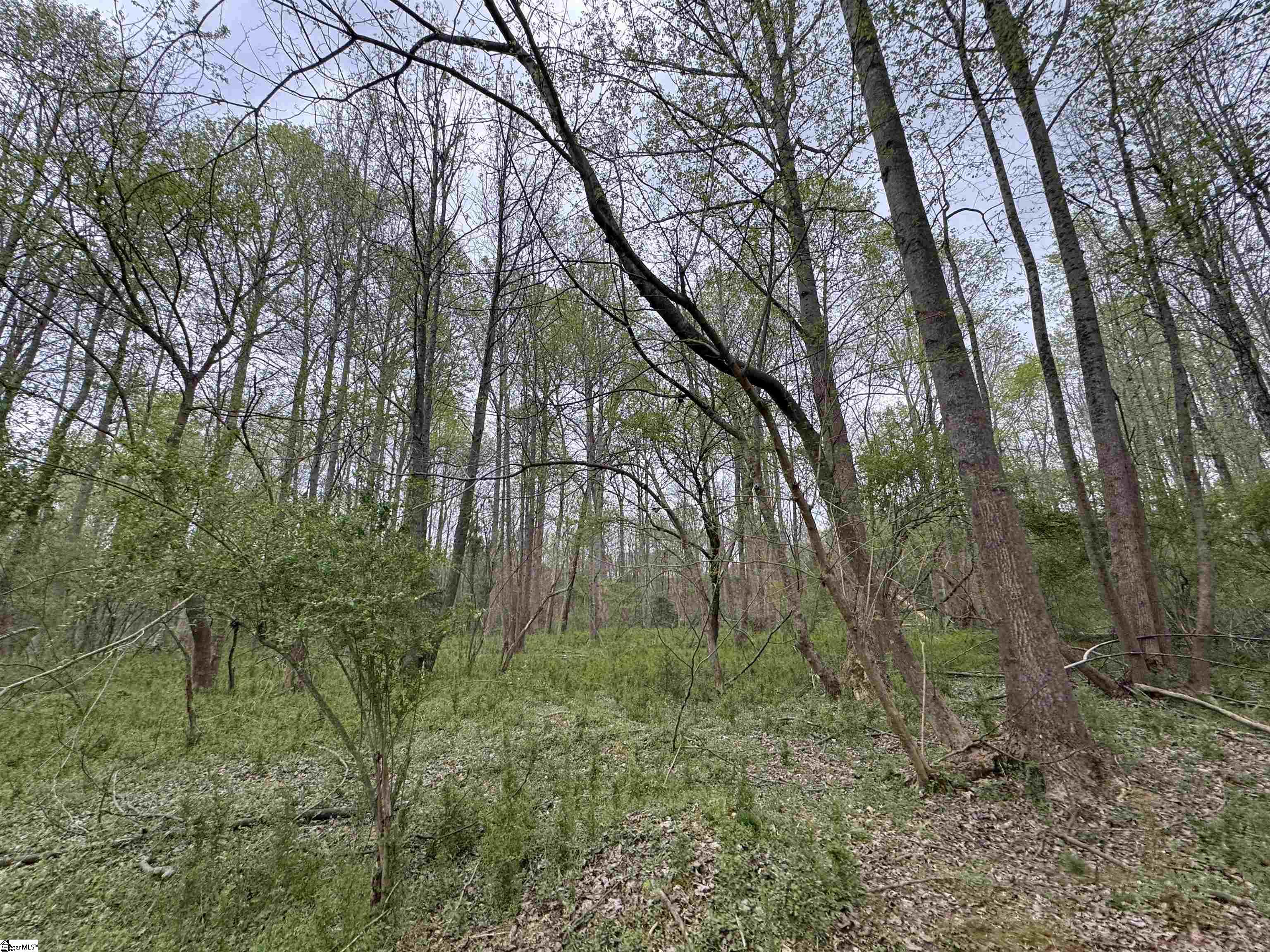 850 Lebanon Road Property Photo 37
