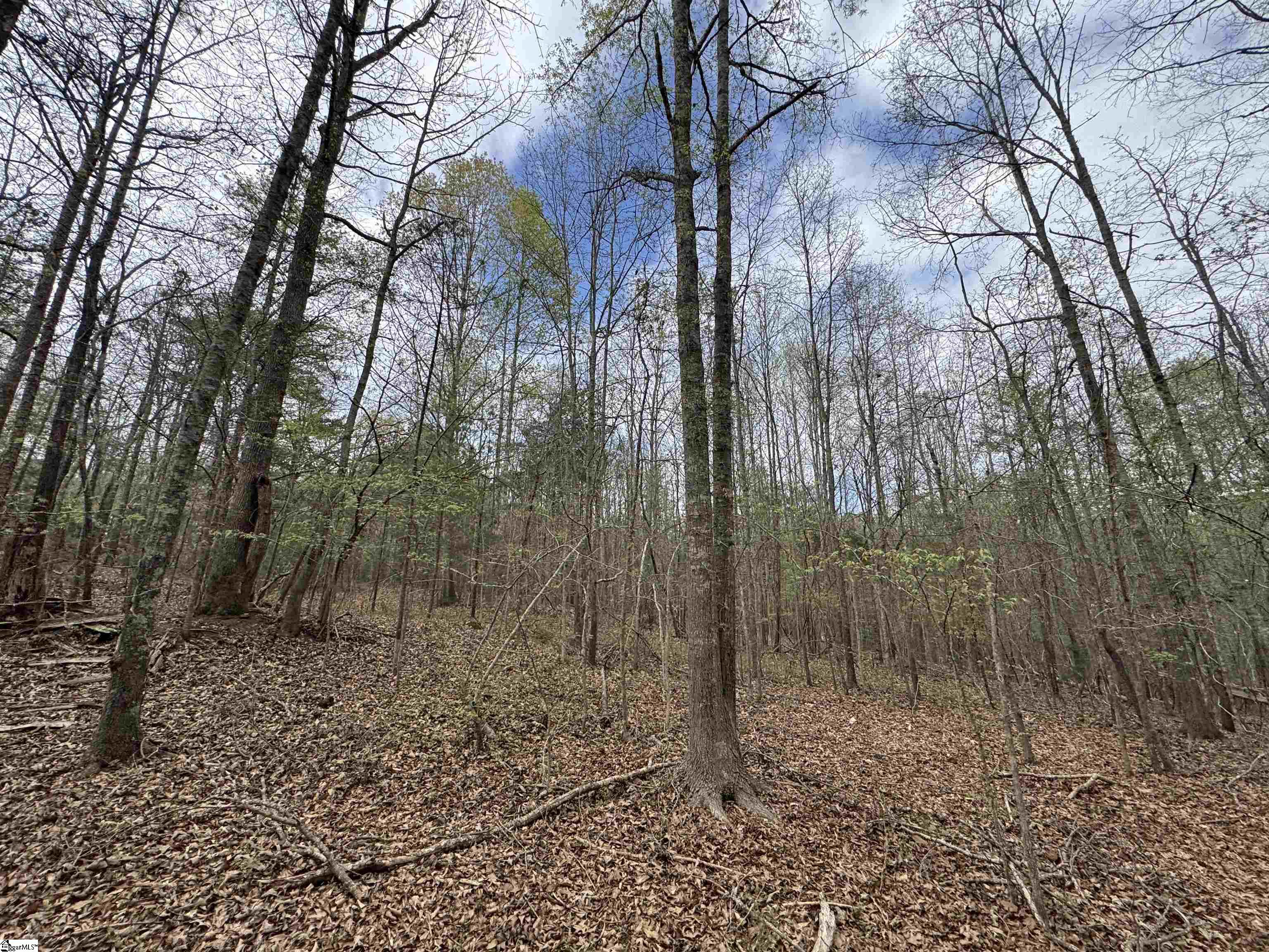 850 Lebanon Road Property Photo 45