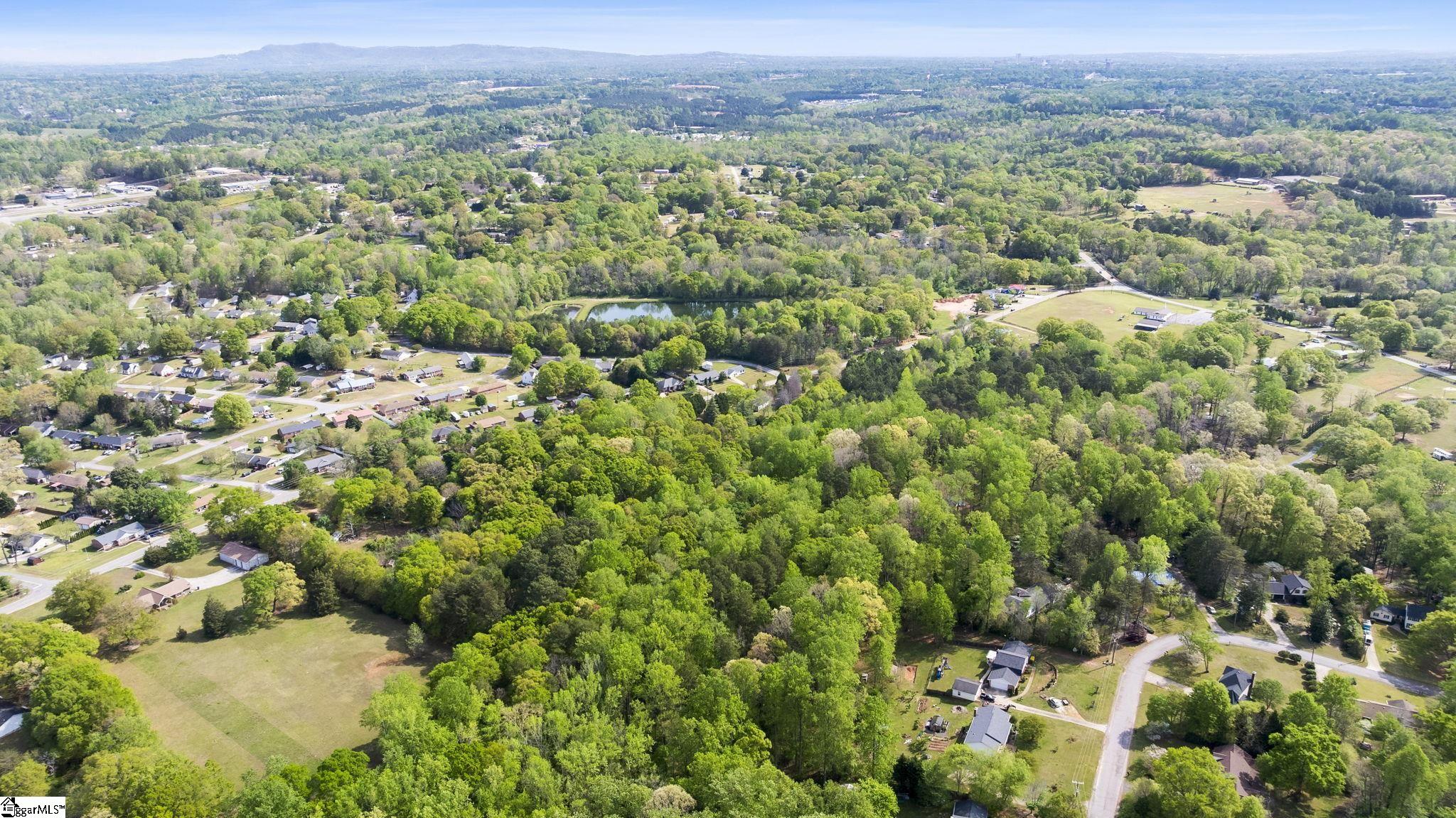 4371 Old Easley Bridge Road Property Photo 6