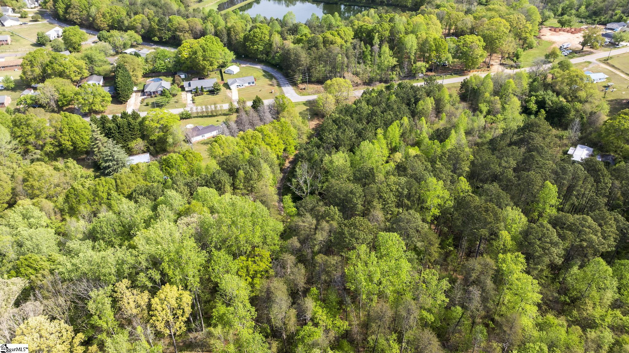 4371 Old Easley Bridge Road Property Photo 17
