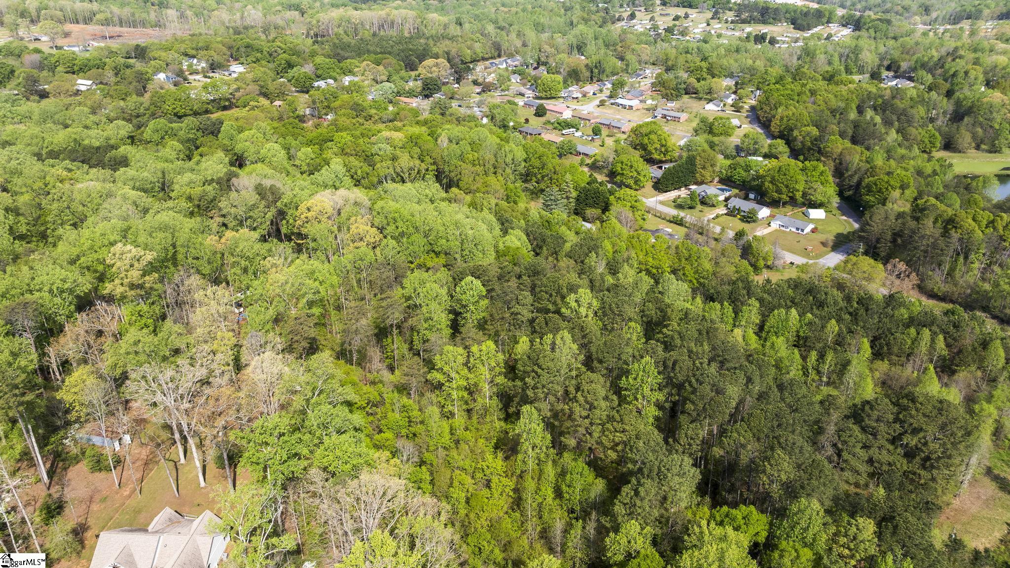 4371 Old Easley Bridge Road Property Photo 18