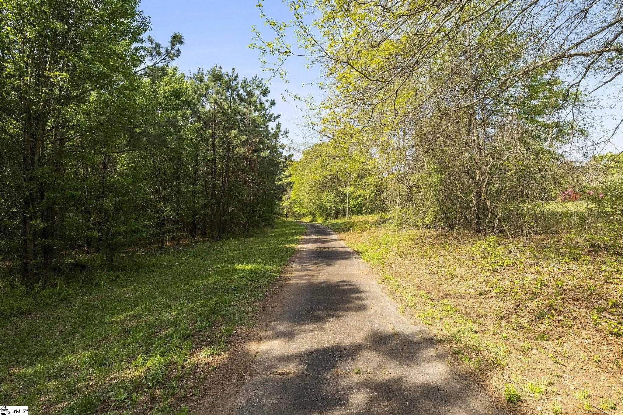 4371 Old Easley Bridge Road Property Photo 21